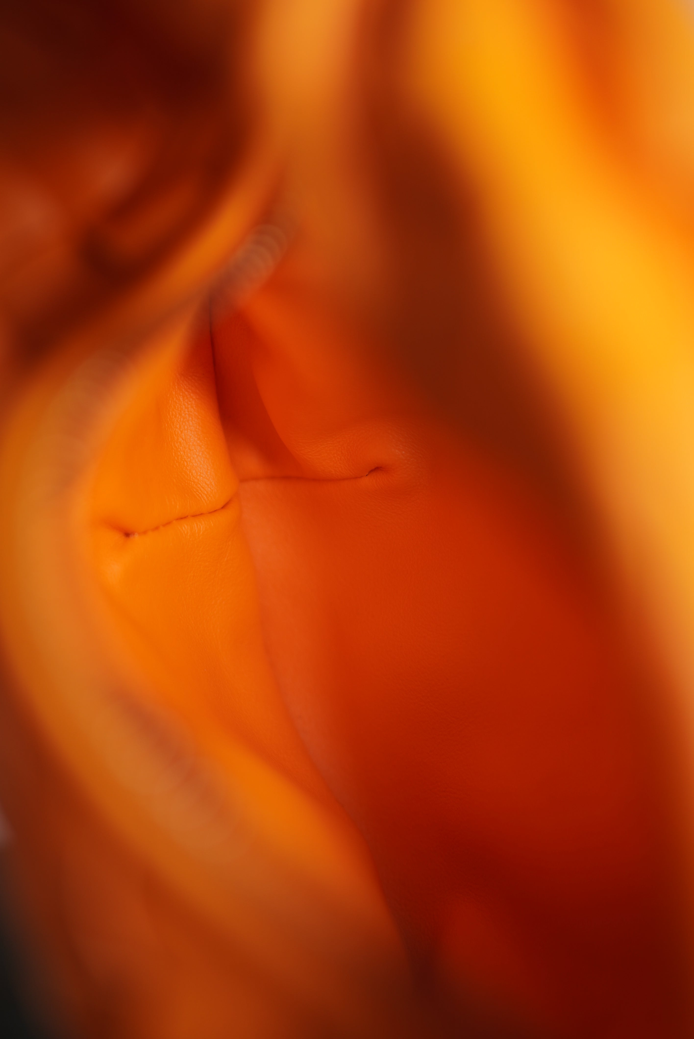 BOTTEGA VENETA MINI JODIE | ORANGE