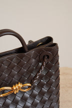 BOTTEGA VENETA ANDIAMO SMALL | FONDANT
