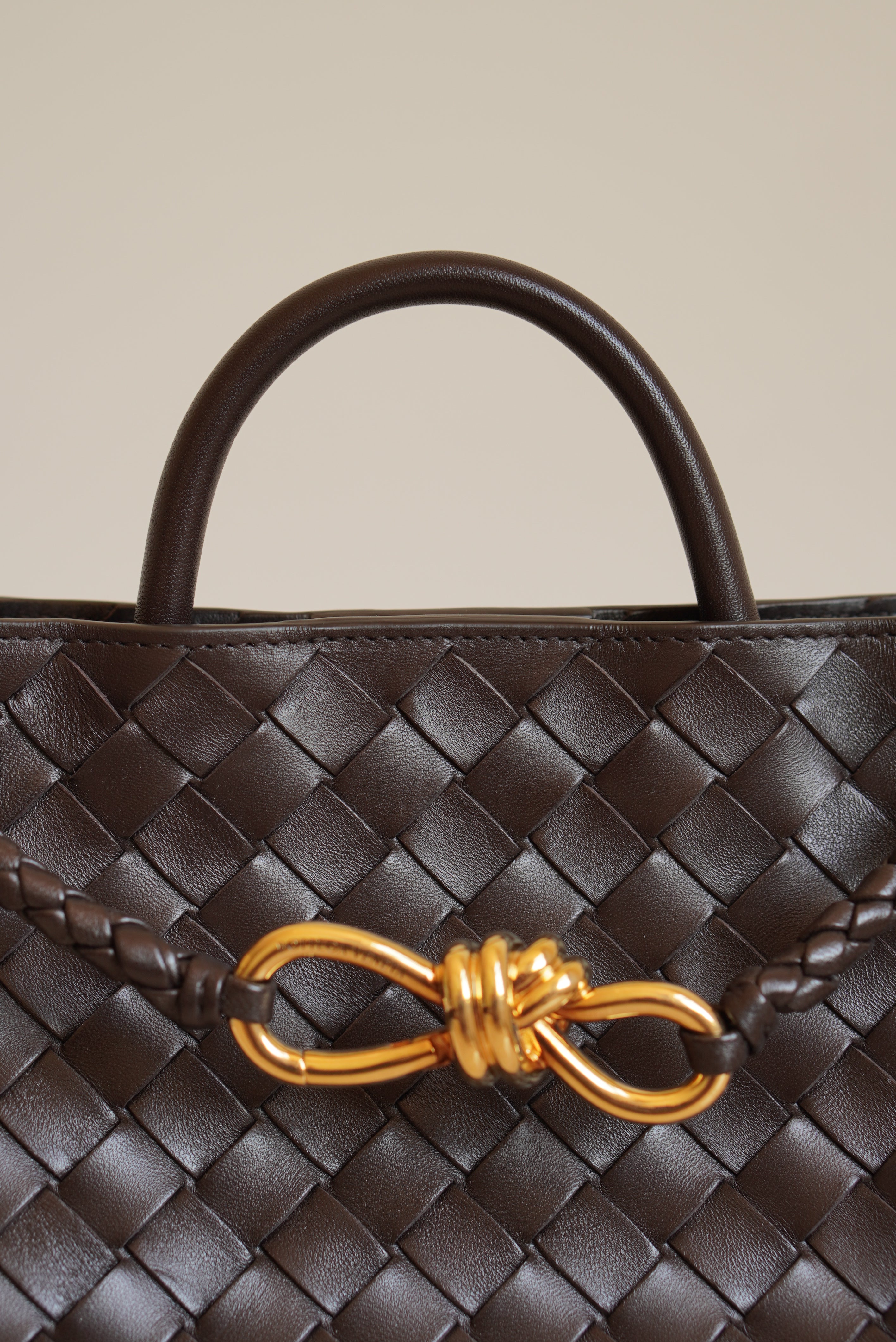 BOTTEGA VENETA ANDIAMO SMALL | FONDANT