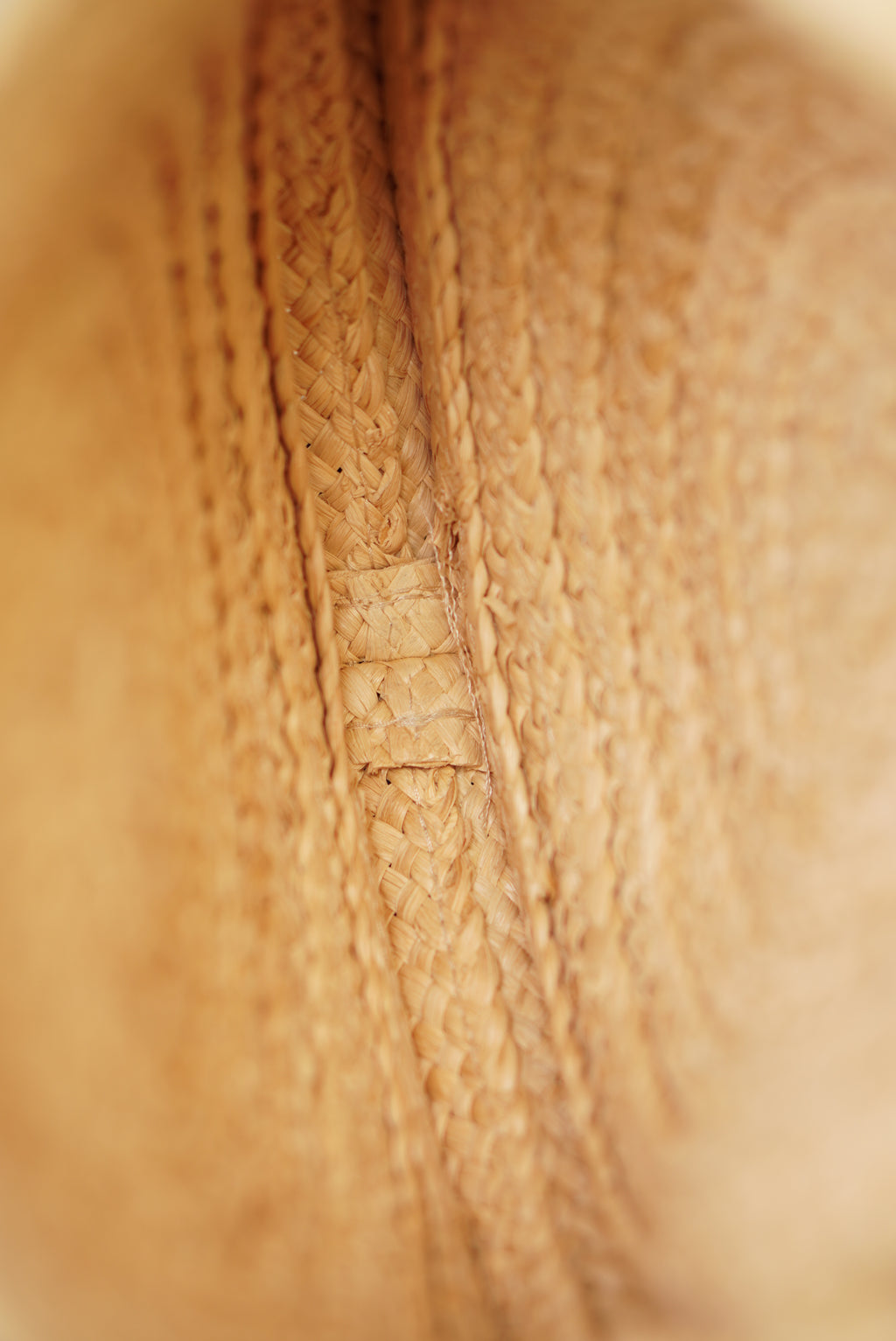 CELINE TRIOMPHE RAFFIA SMALL ROUND