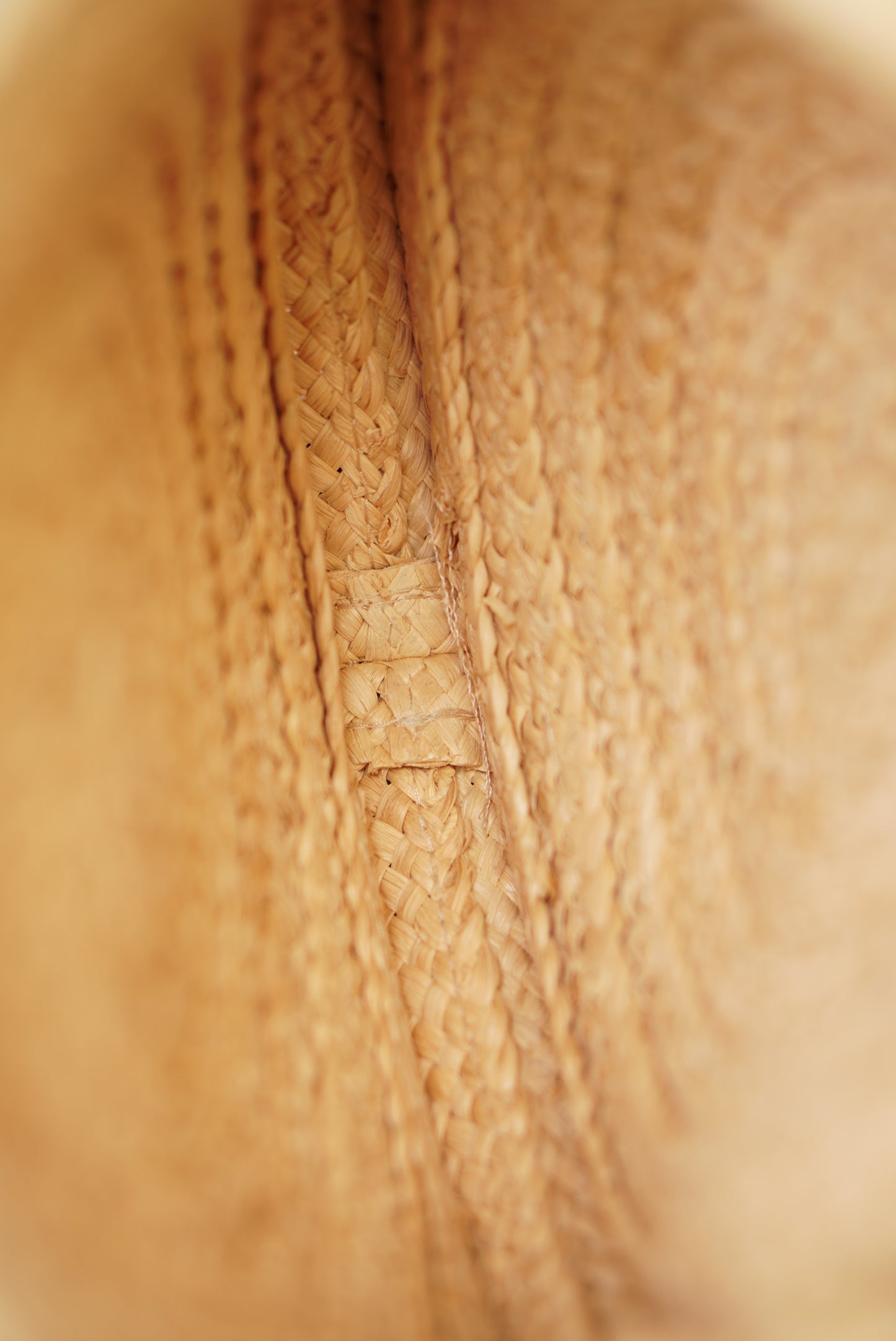 CELINE TRIOMPHE RAFFIA SMALL ROUND