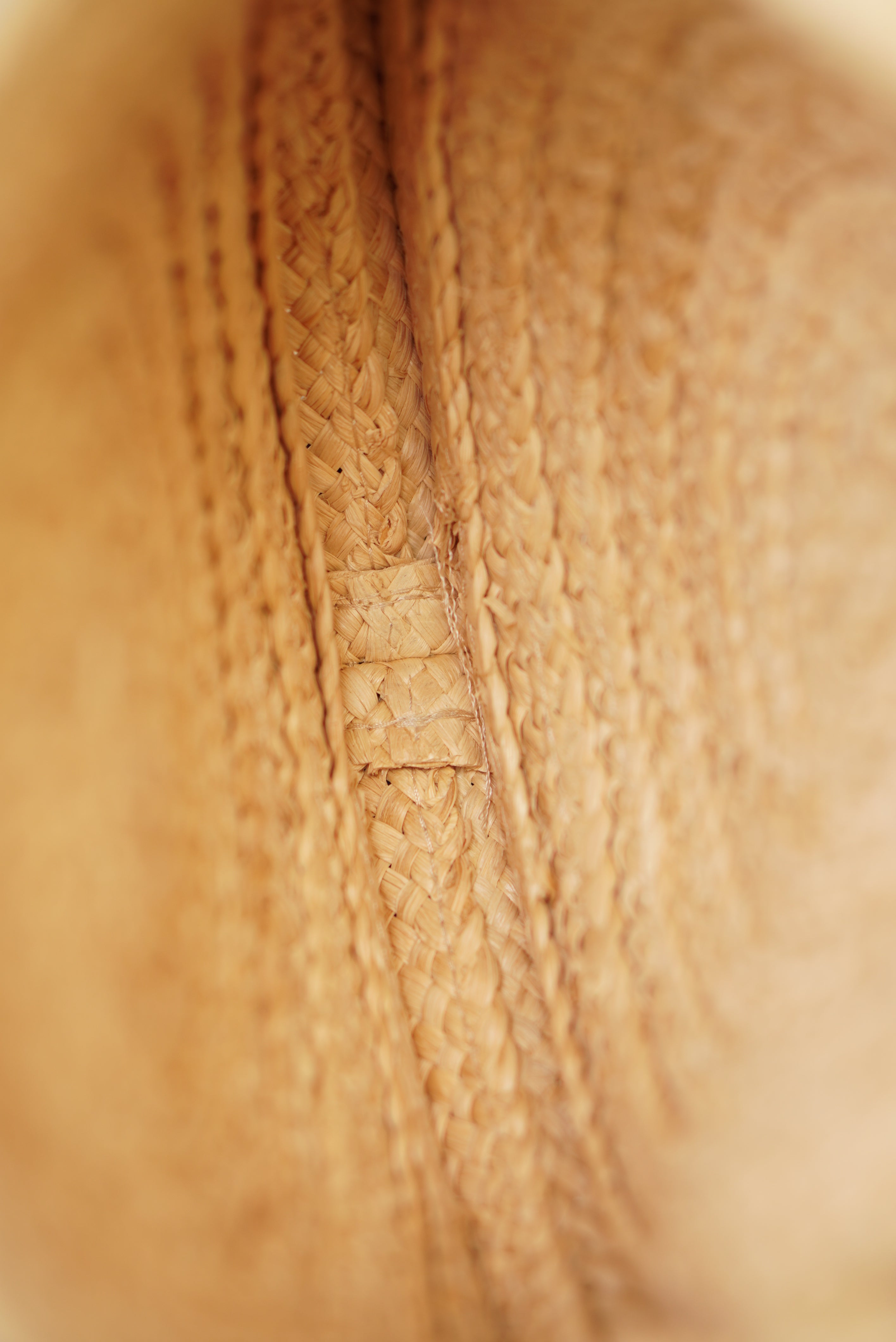 CELINE TRIOMPHE RAFFIA SMALL ROUND