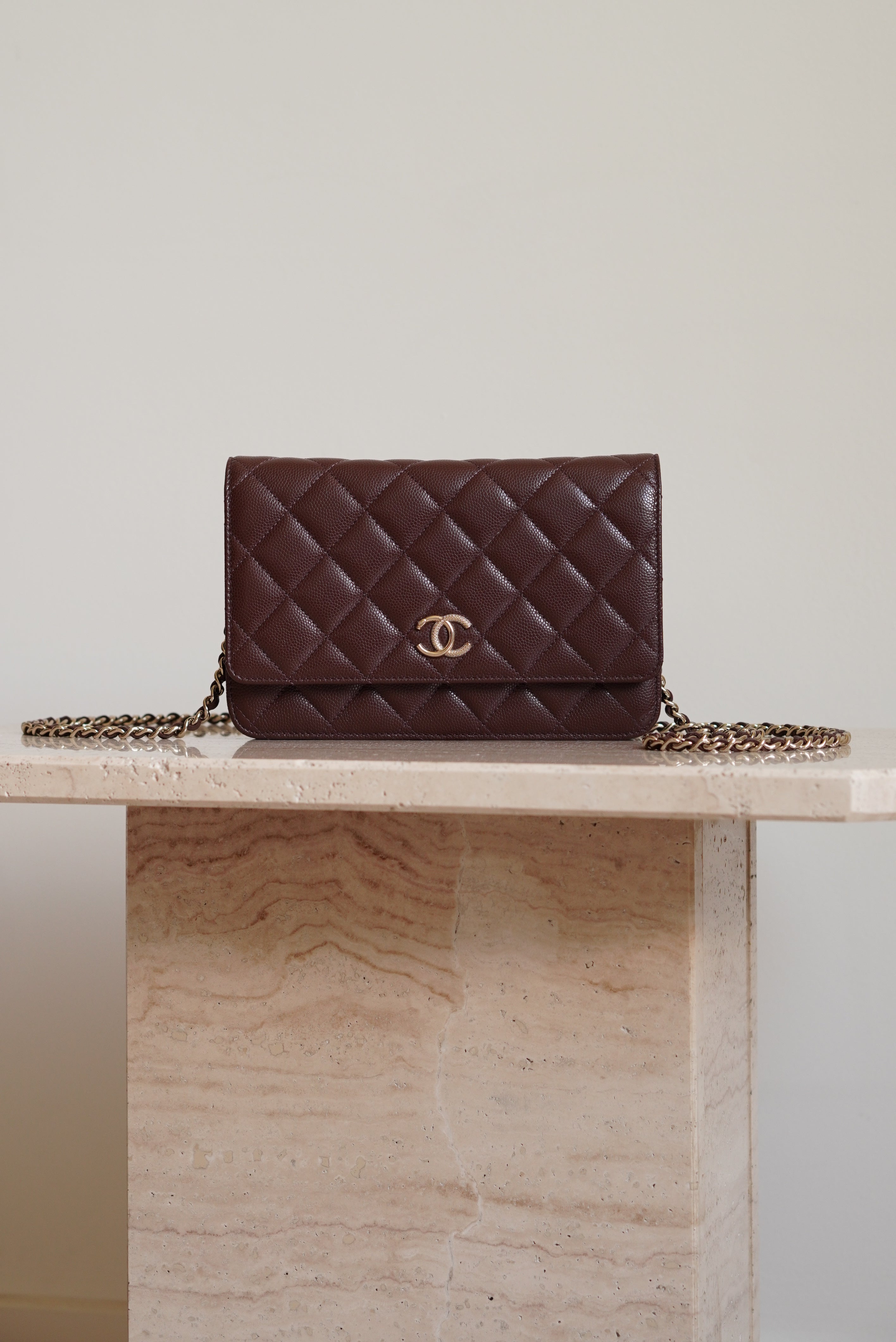 CHANEL 25K WALLET ON CHAIN | BROWN