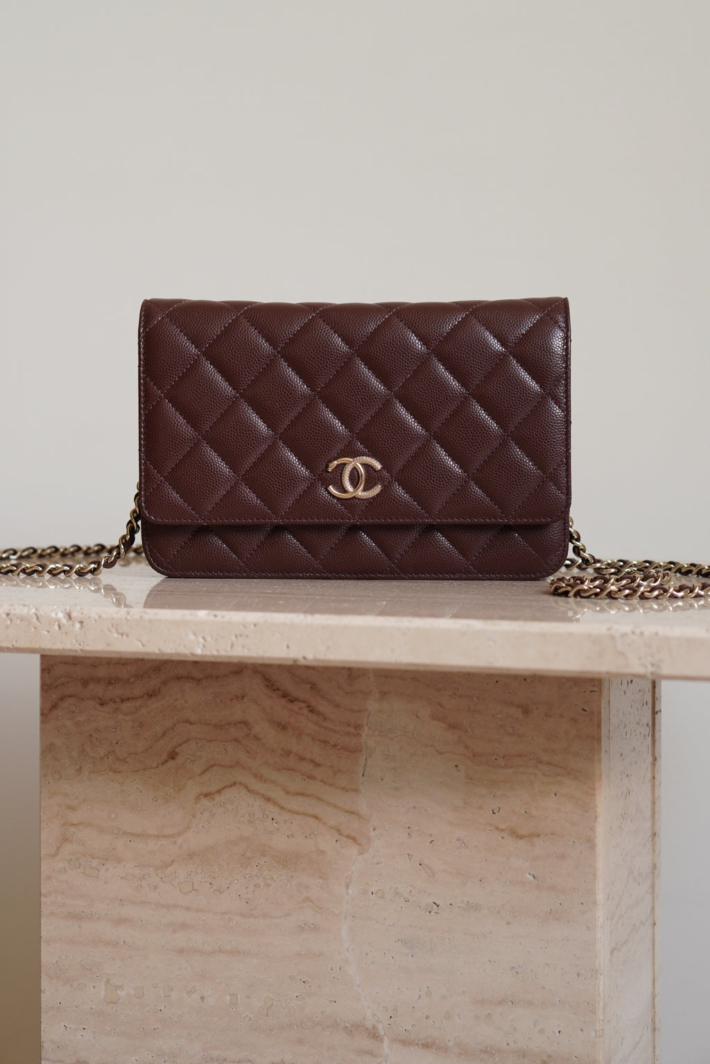CHANEL 25K WALLET ON CHAIN | BROWN
