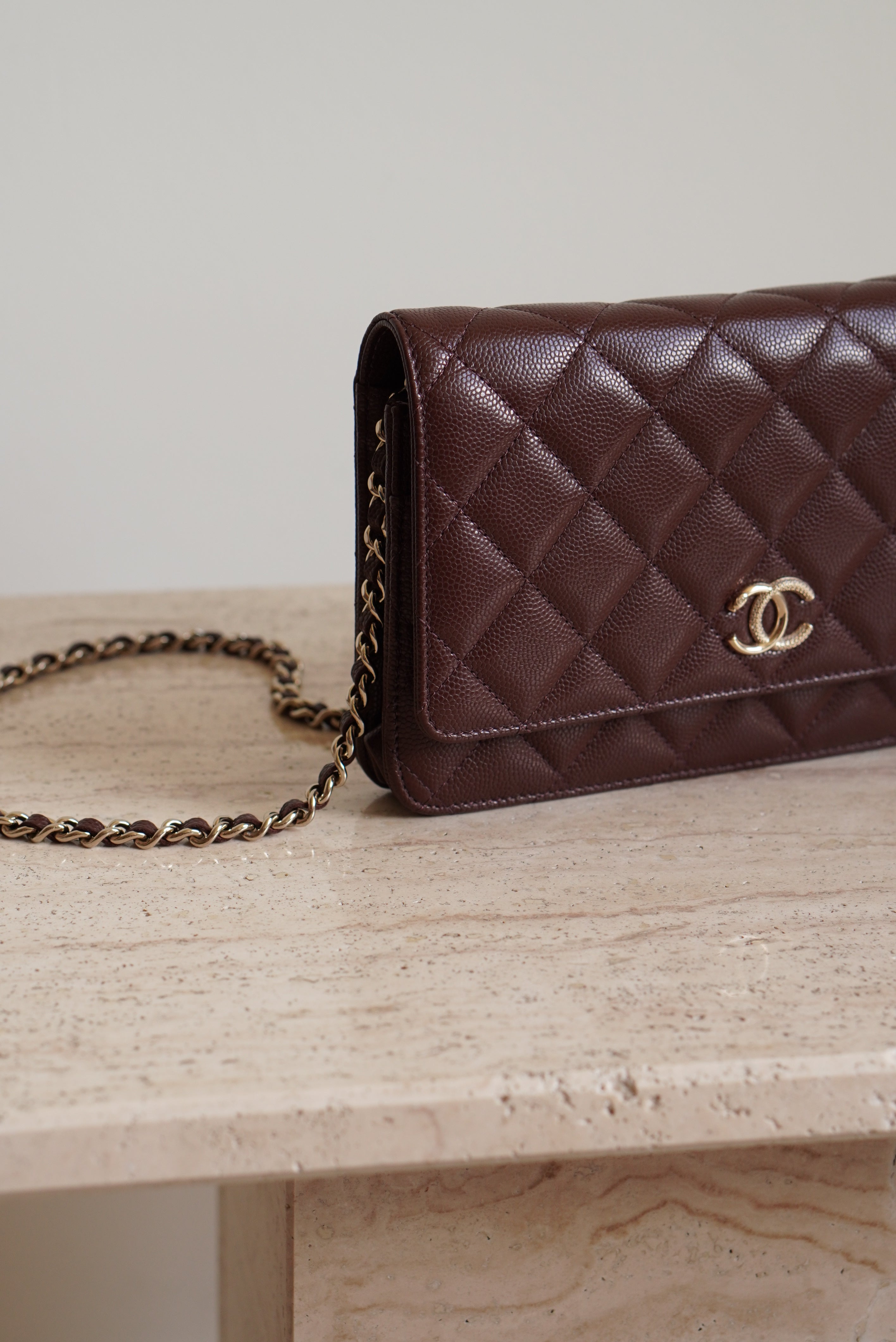 CHANEL 25K WALLET ON CHAIN | BROWN