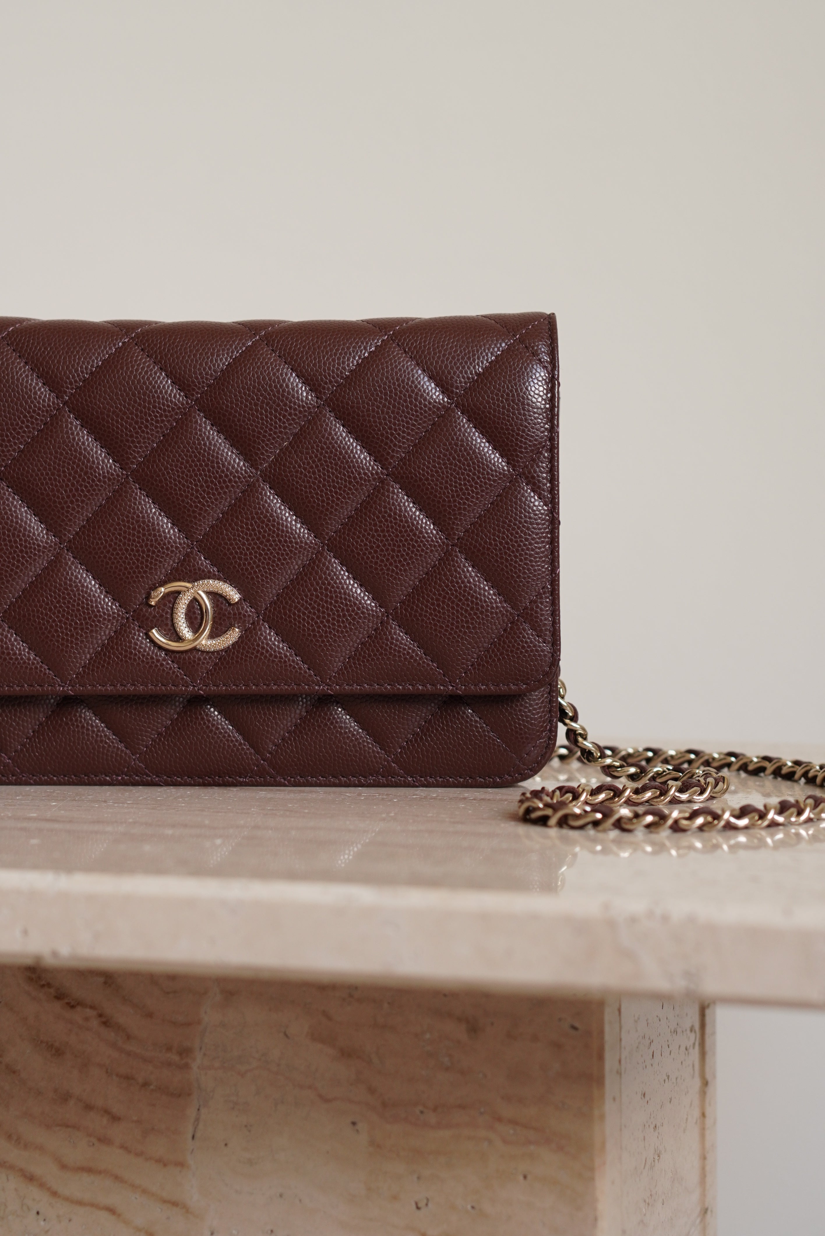 CHANEL 25K WALLET ON CHAIN | BROWN