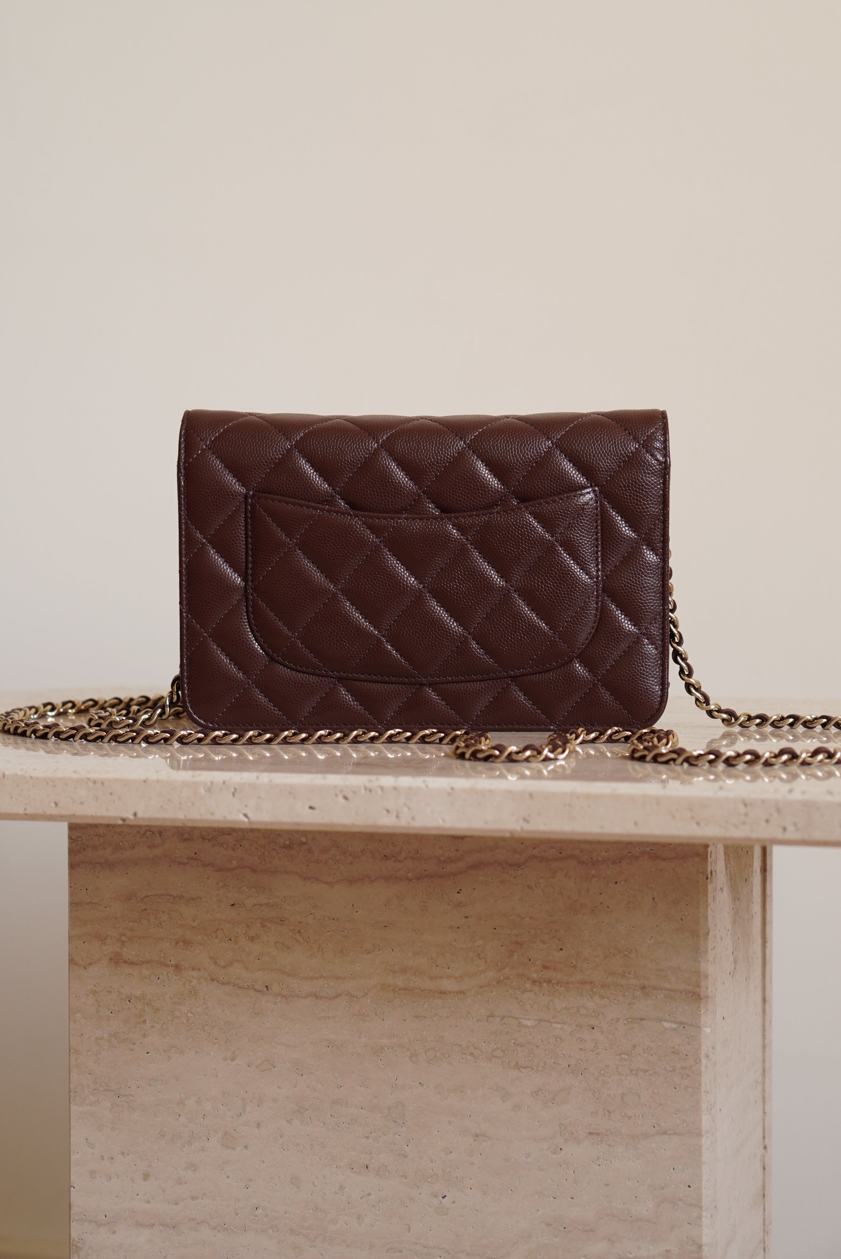 CHANEL 25K WALLET ON CHAIN | BROWN