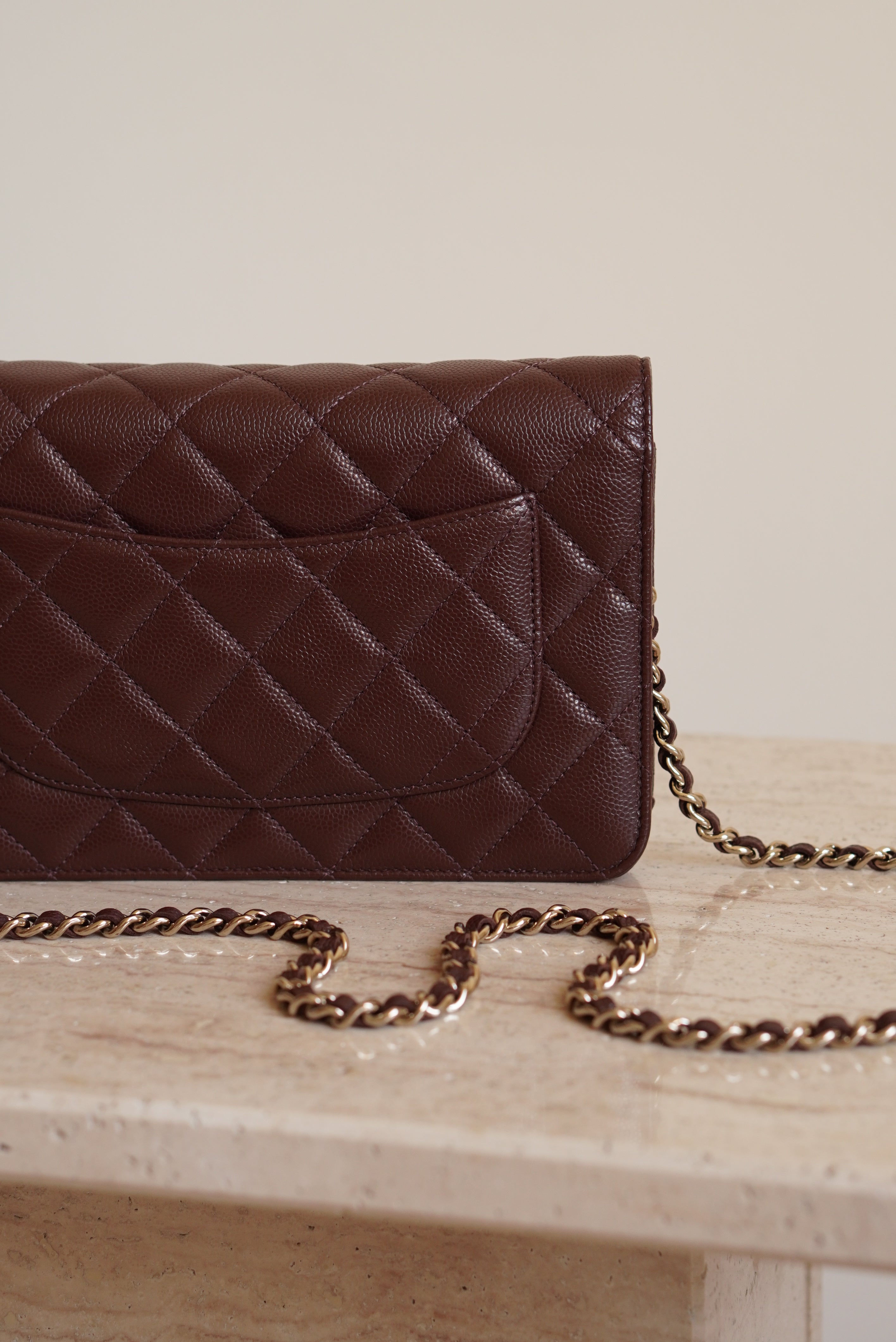 CHANEL 25K WALLET ON CHAIN | BROWN