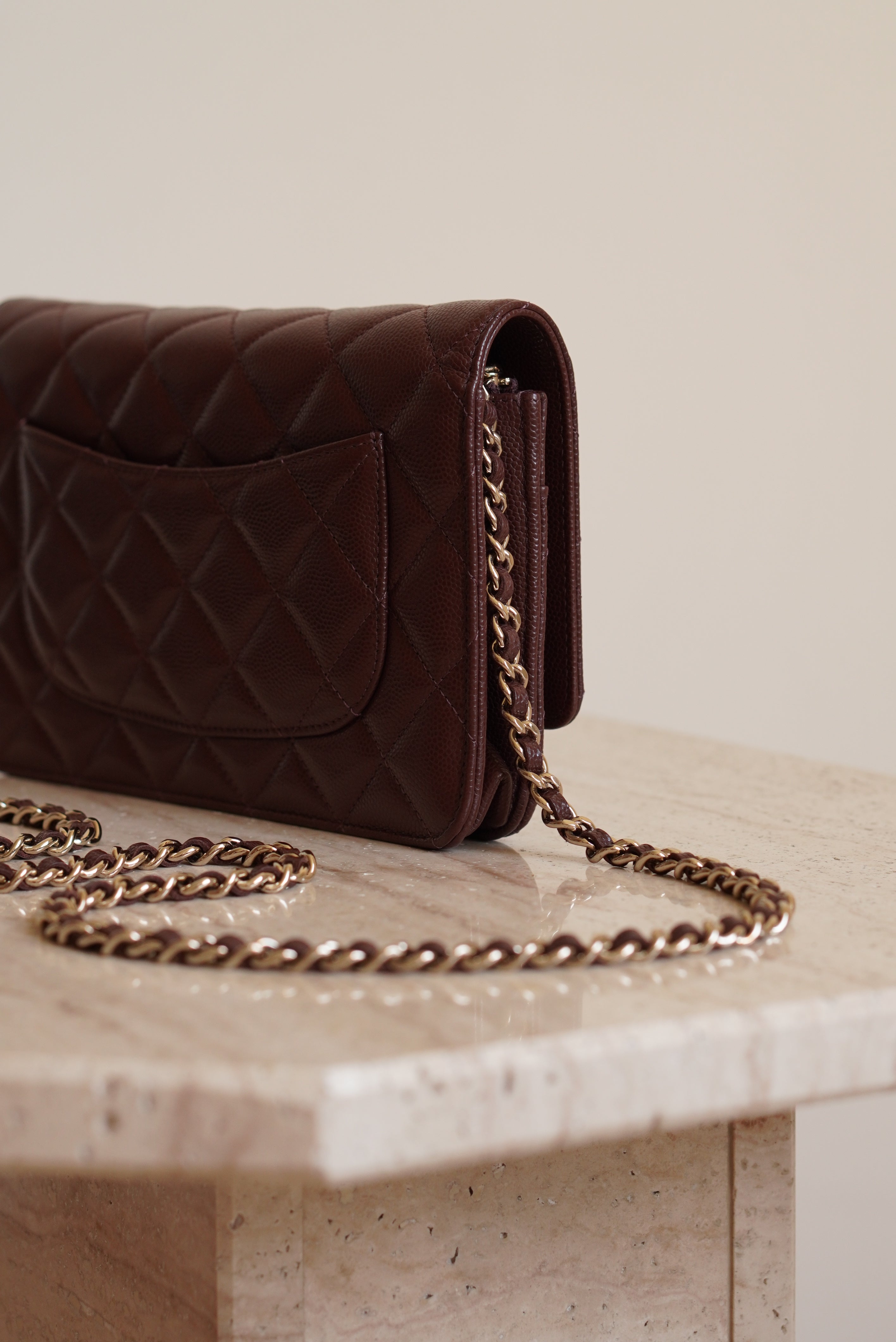 CHANEL 25K WALLET ON CHAIN | BROWN