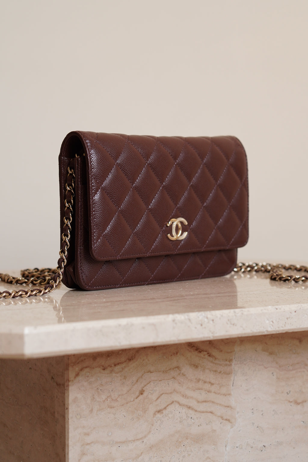 CHANEL 25K WALLET ON CHAIN | BROWN