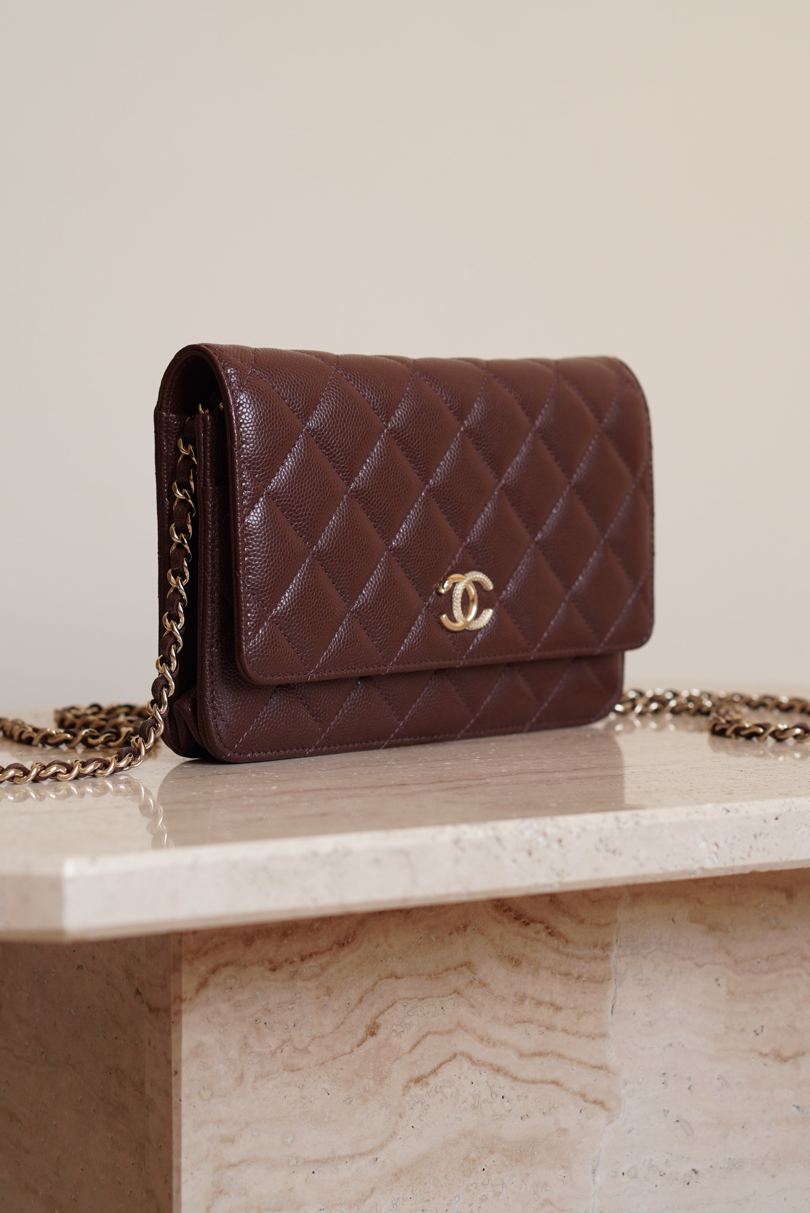 CHANEL 25K WALLET ON CHAIN | BROWN