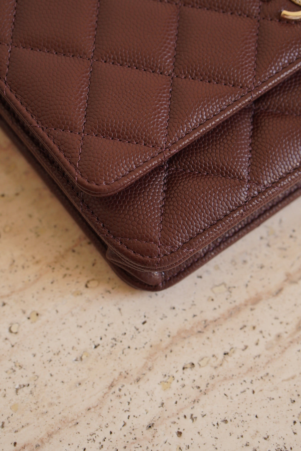 CHANEL 25K WALLET ON CHAIN | BROWN