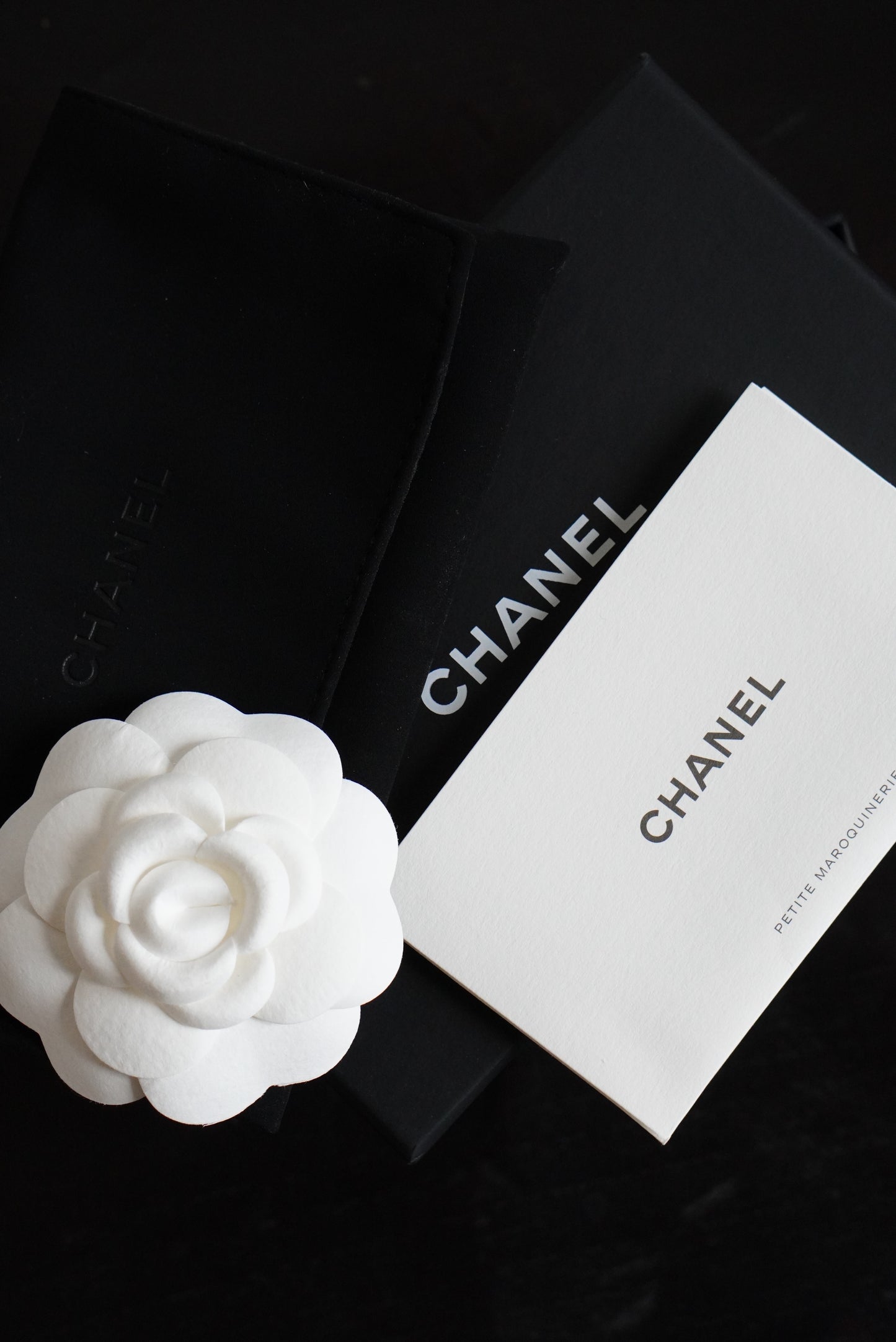 CHANEL CLASSIC CARD HOLDER | NUDE
