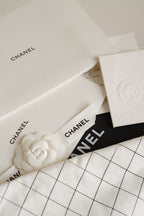 CHANEL CLASSIC 22B SMALL DOUBLE FLAP | GREY