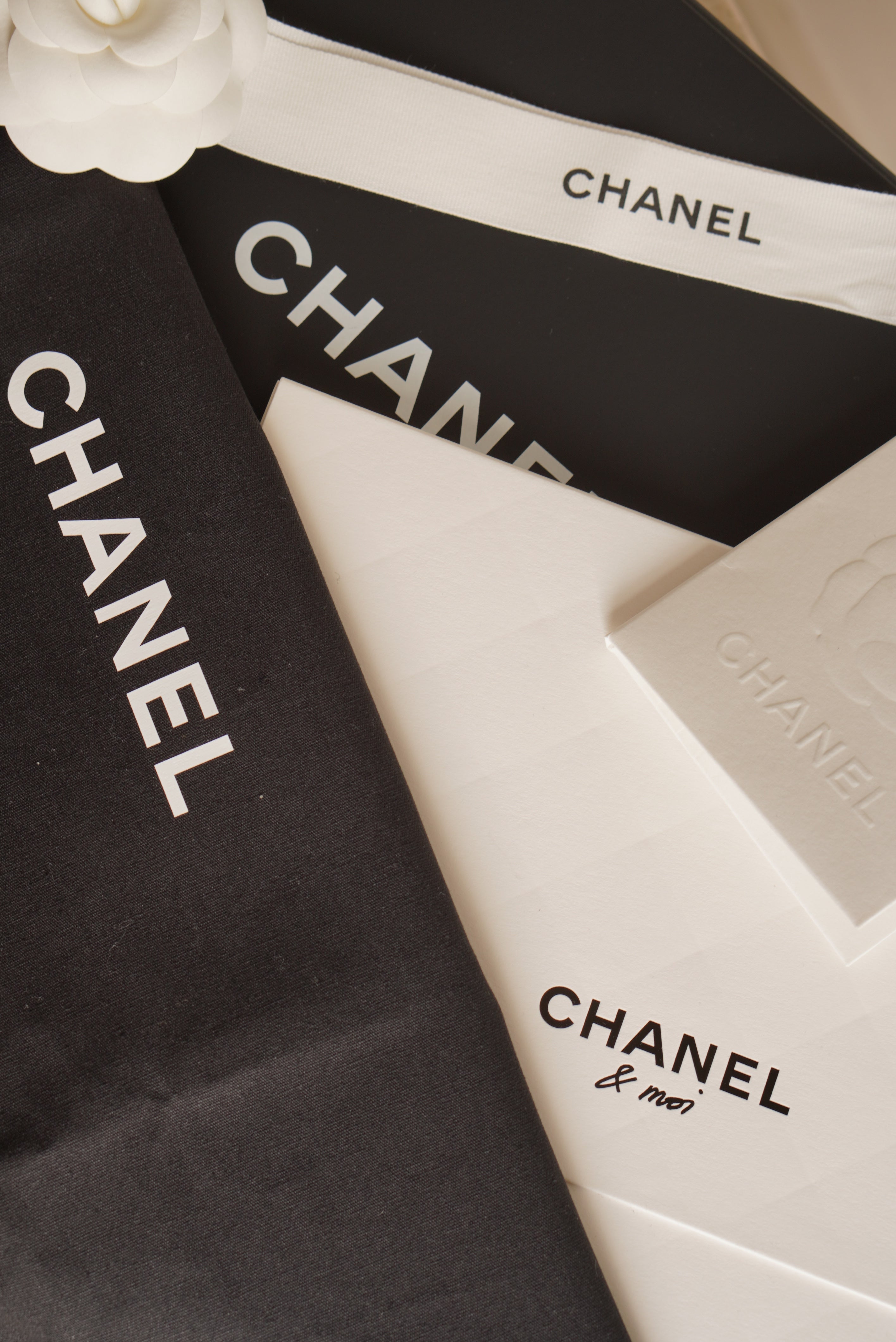 CHANEL 25S MESH CLUTCH WITH CHAIN | BLACK