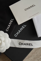 CHANEL MINI O CASE | AUBERGINE