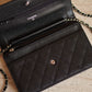 CHANEL WALLET ON CHAIN | BLACK