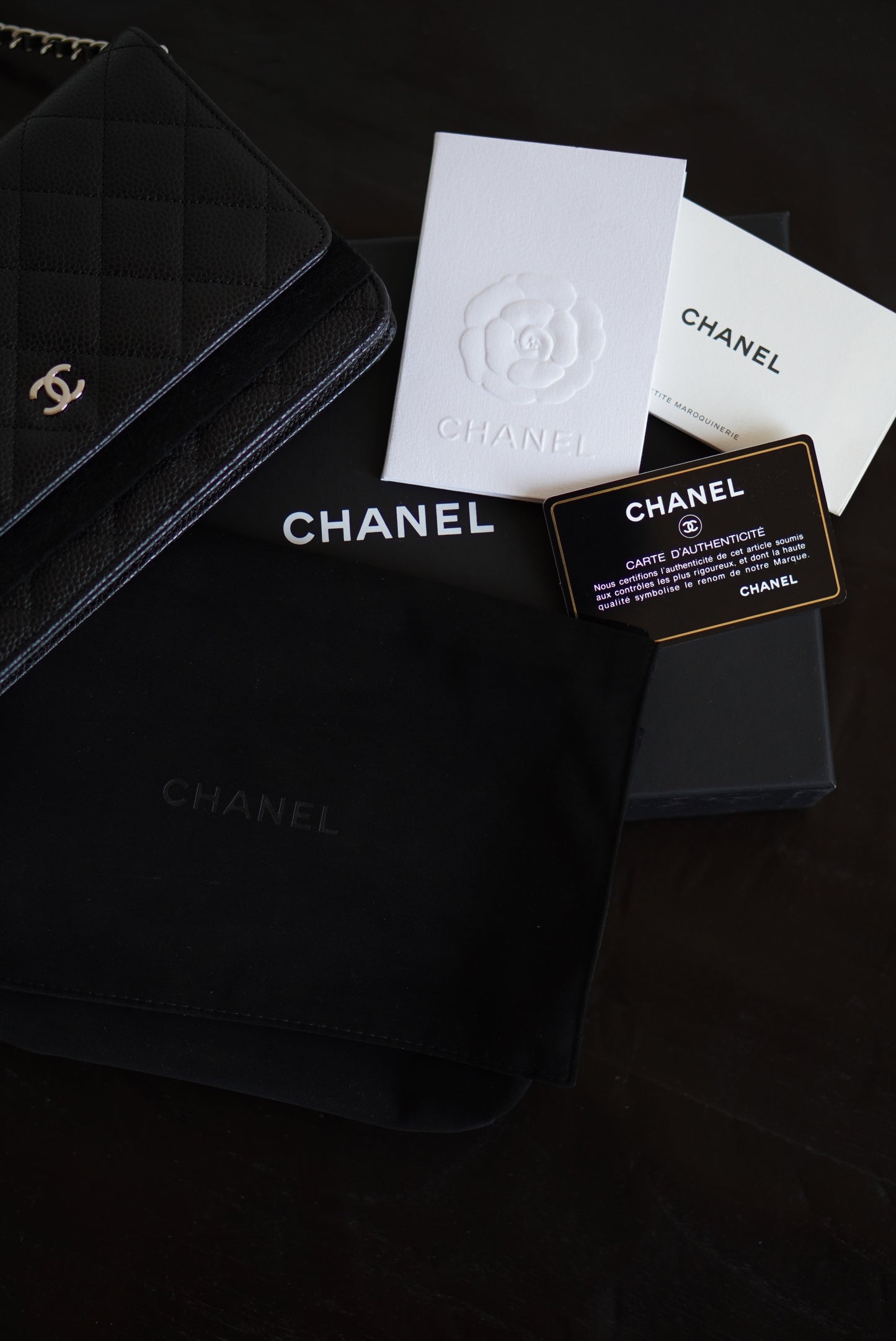 CHANEL WALLET ON CHAIN | BLACK
