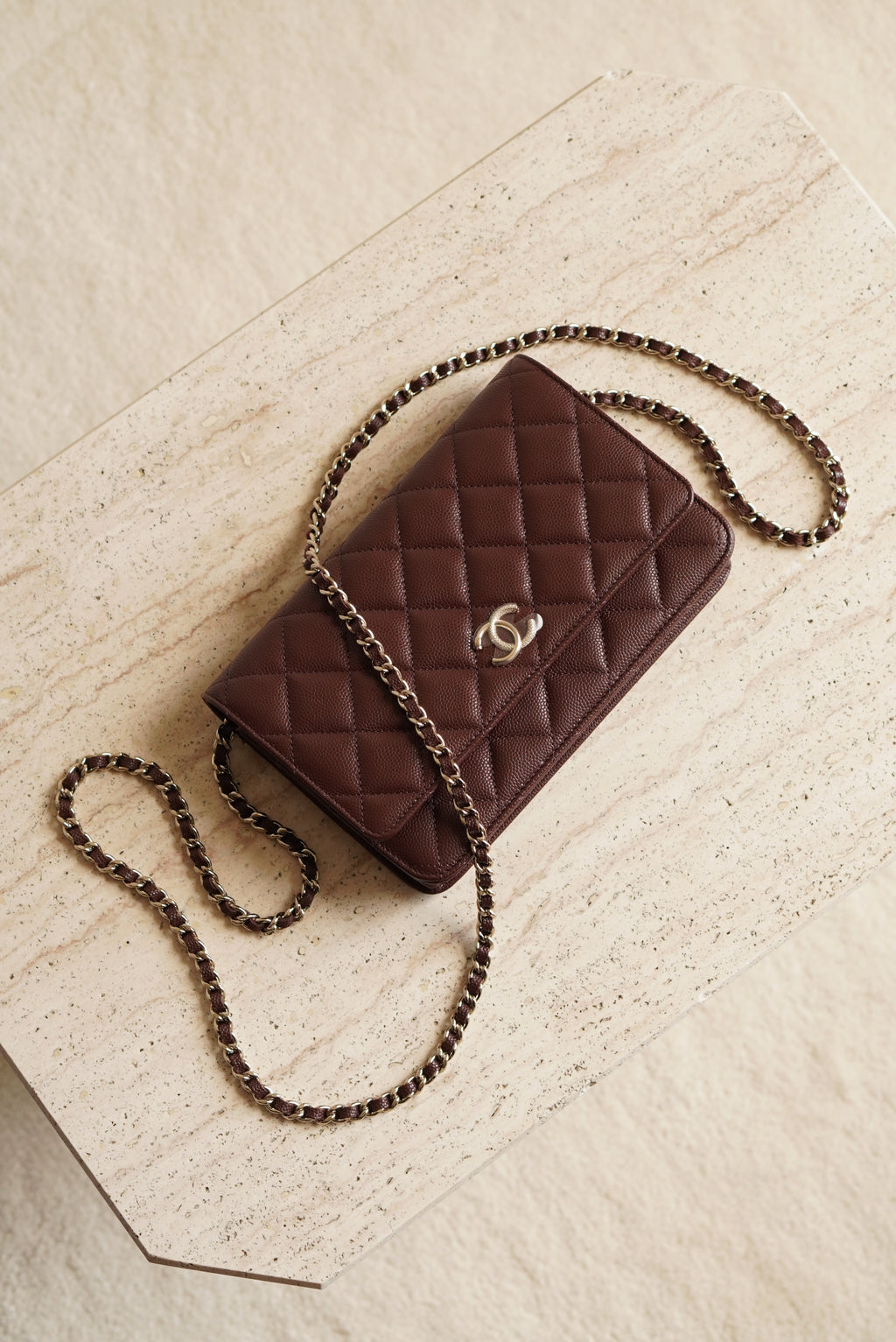 CHANEL 25K WALLET ON CHAIN | BROWN