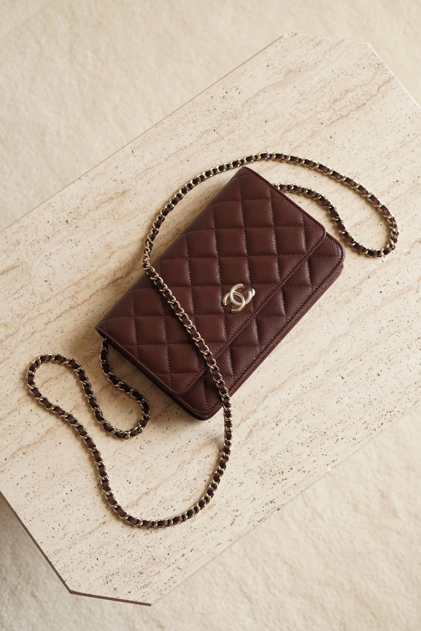 CHANEL 25K WALLET ON CHAIN | BROWN