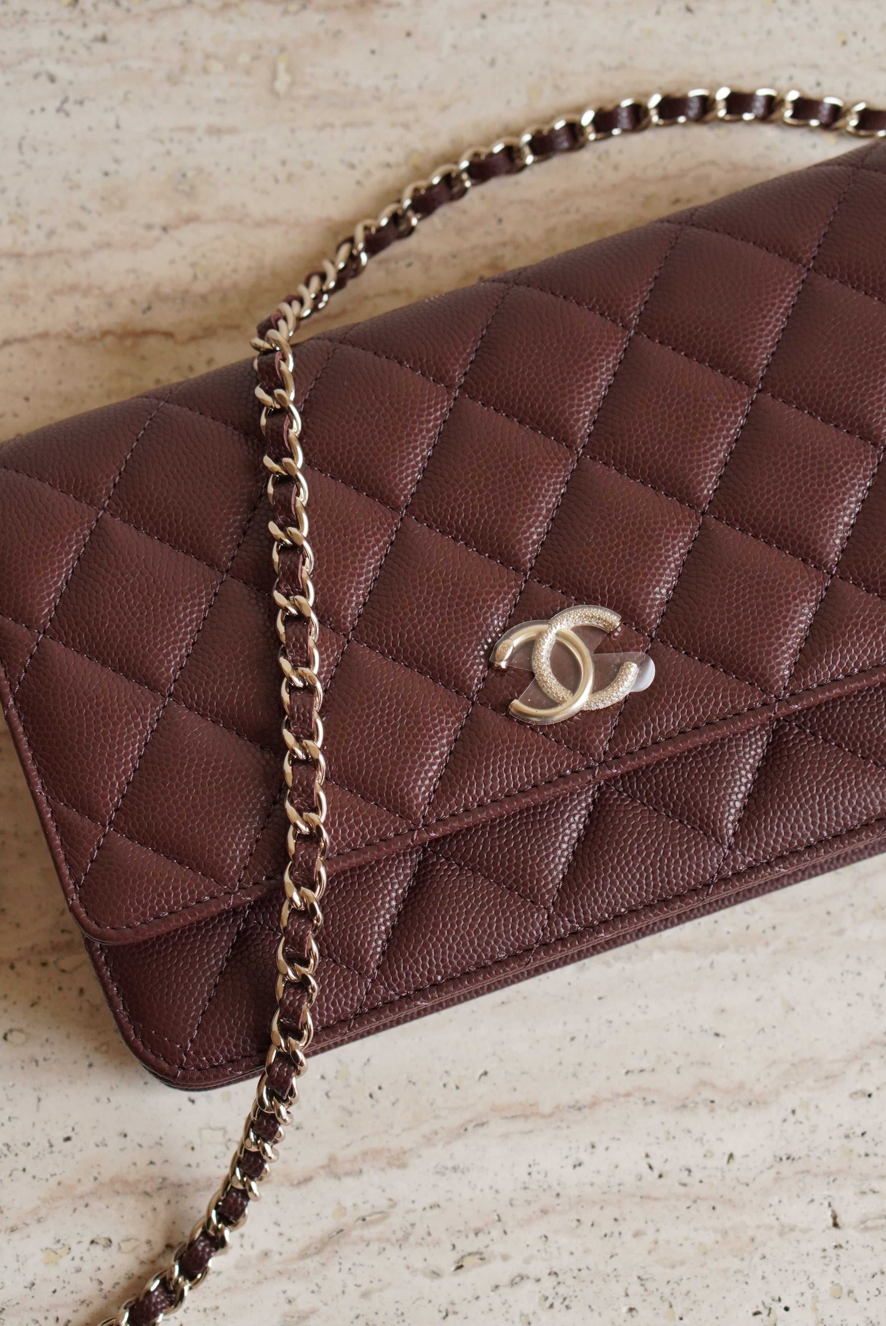 CHANEL 25K WALLET ON CHAIN | BROWN