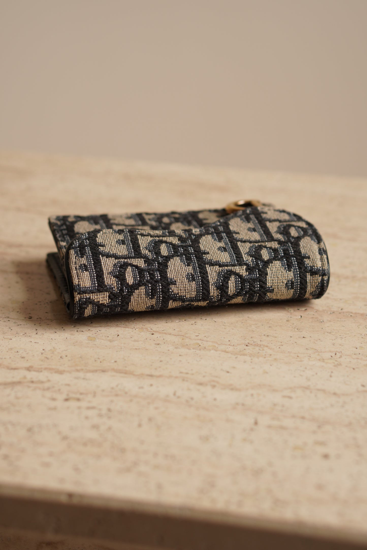DIOR SADDLE BLOOM CARD HOLDER
