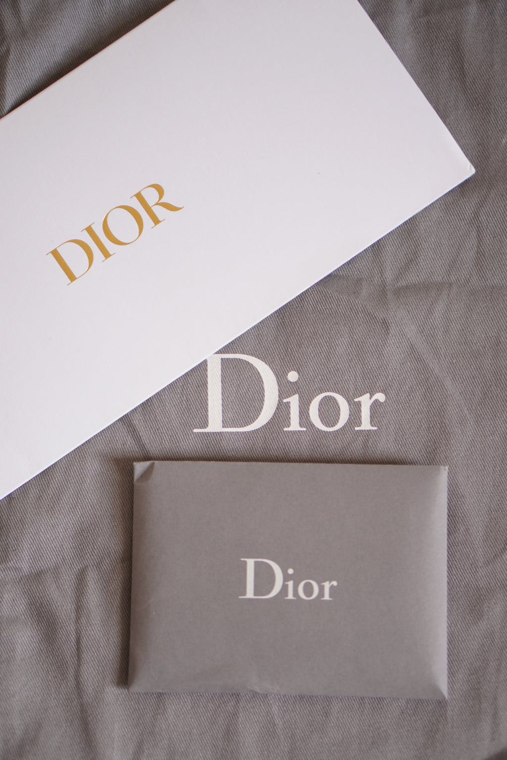 DIOR SADDLE MICRO | BROWN