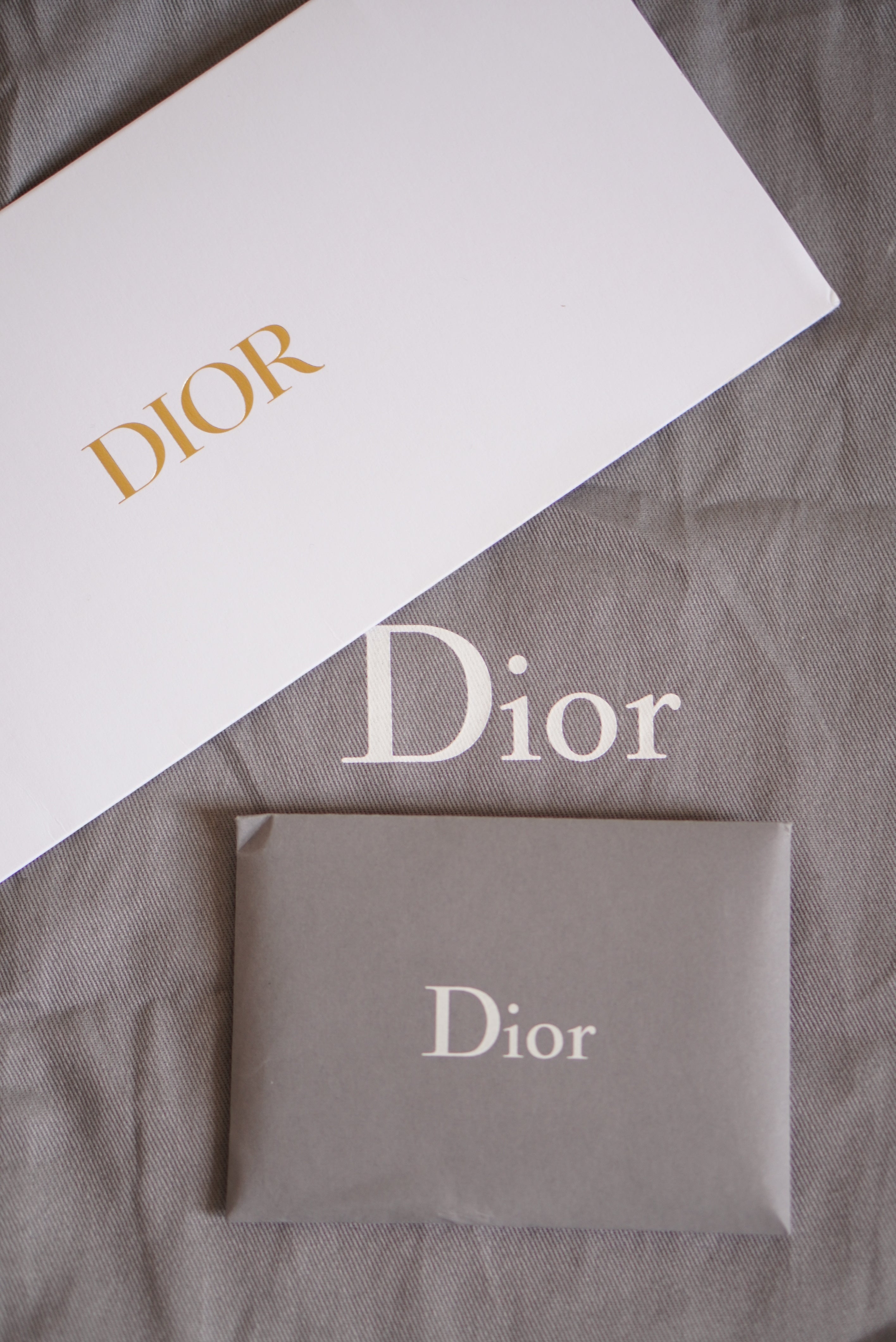 DIOR SADDLE MICRO | BROWN