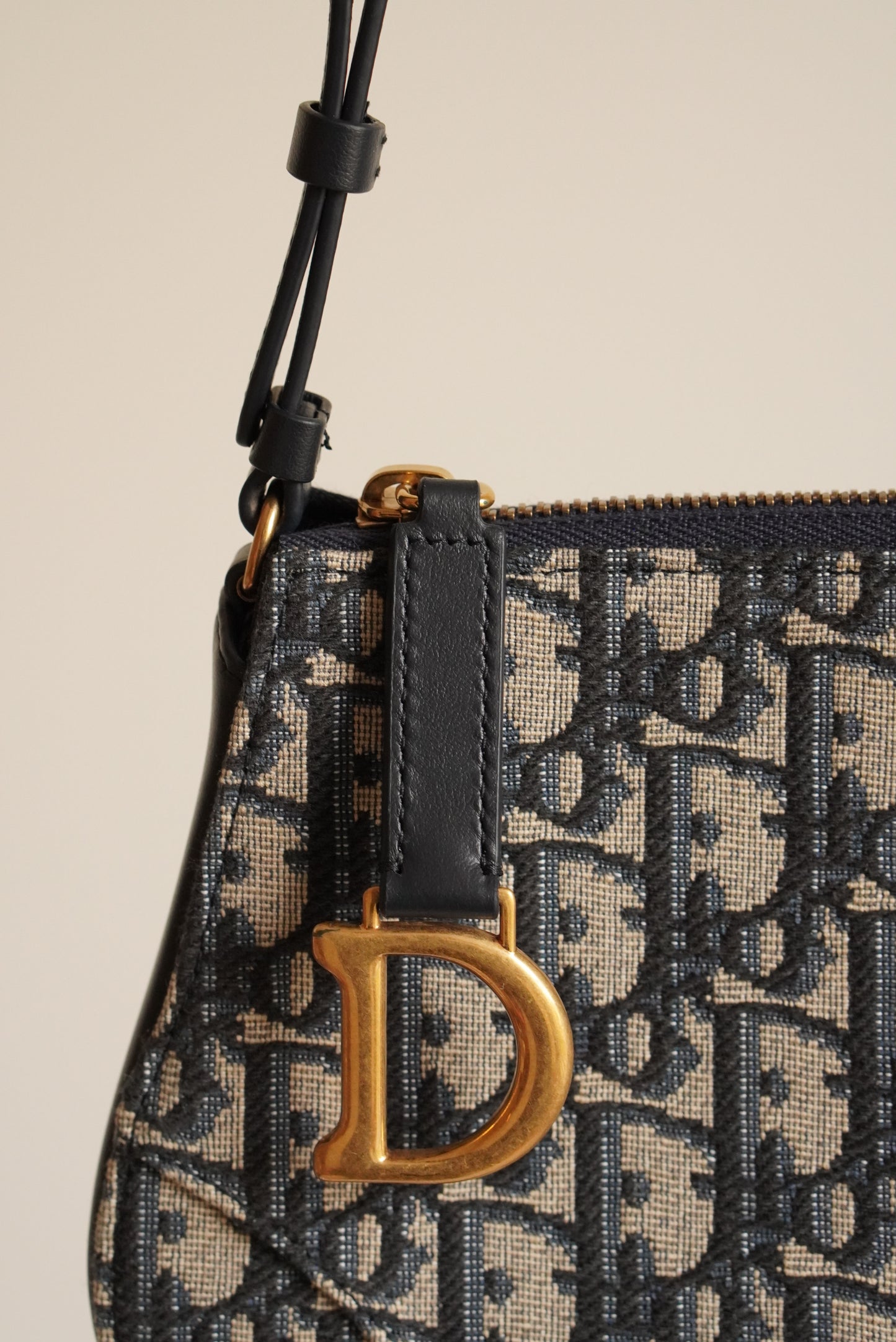 DIOR SADDLE RODEO POUCH