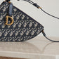 DIOR SADDLE RODEO POUCH