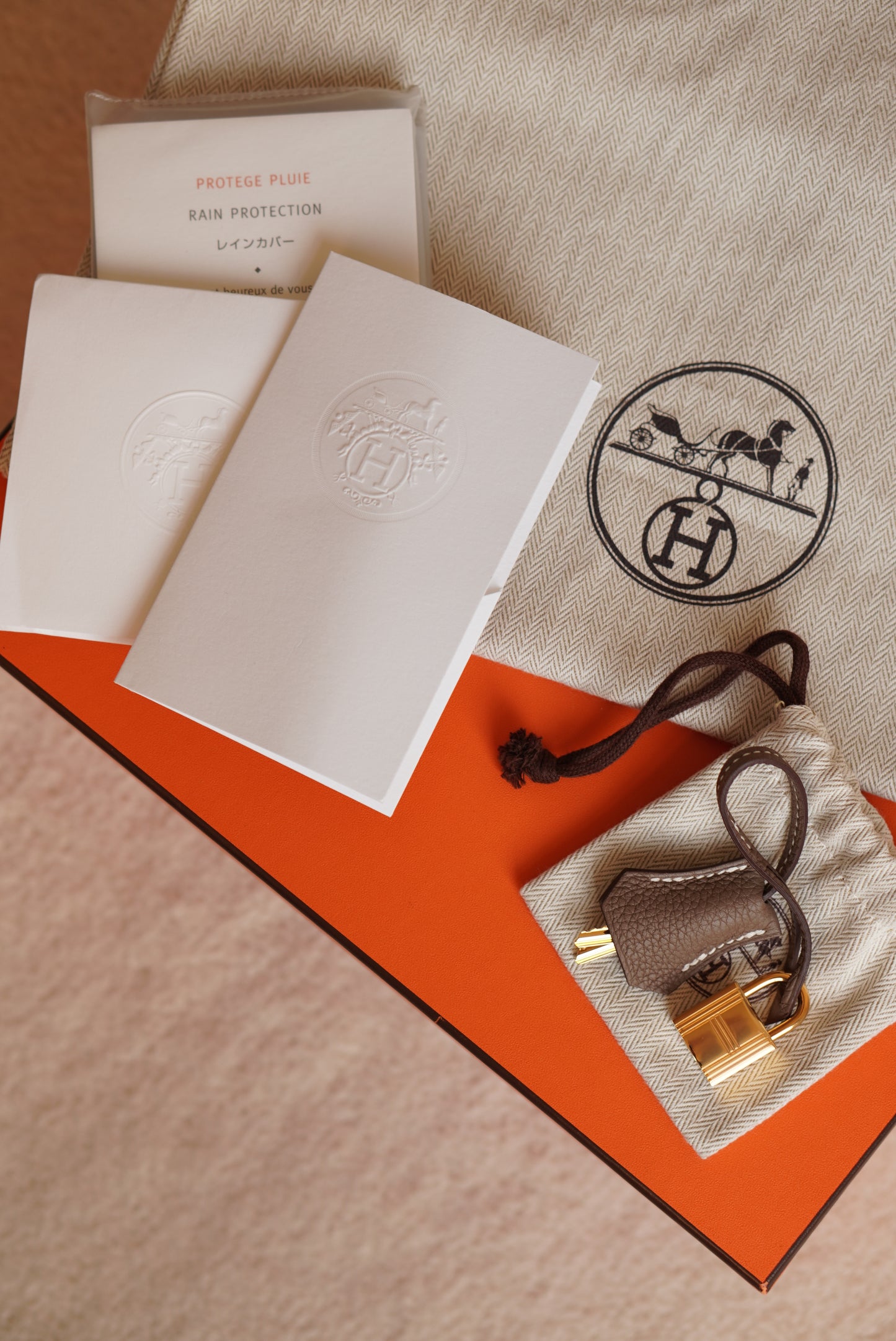 HERMÈS BIRKIN 25 RETOURNE TOGO | ETOUPE