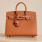 HERMÈS BIRKIN 25 SELLIER EPSOM | GOLD