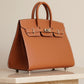 HERMÈS BIRKIN 25 SELLIER EPSOM | GOLD