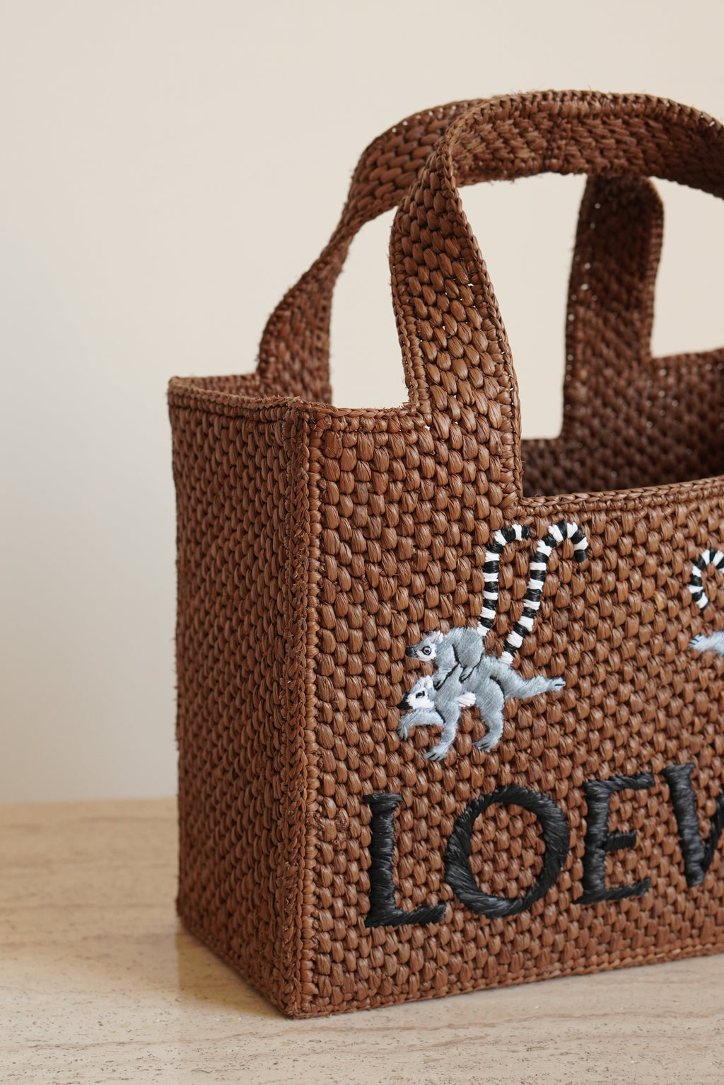 LOEWE x SUNA FUJITA LEMUR FONT TOTE SMALL | BROWN