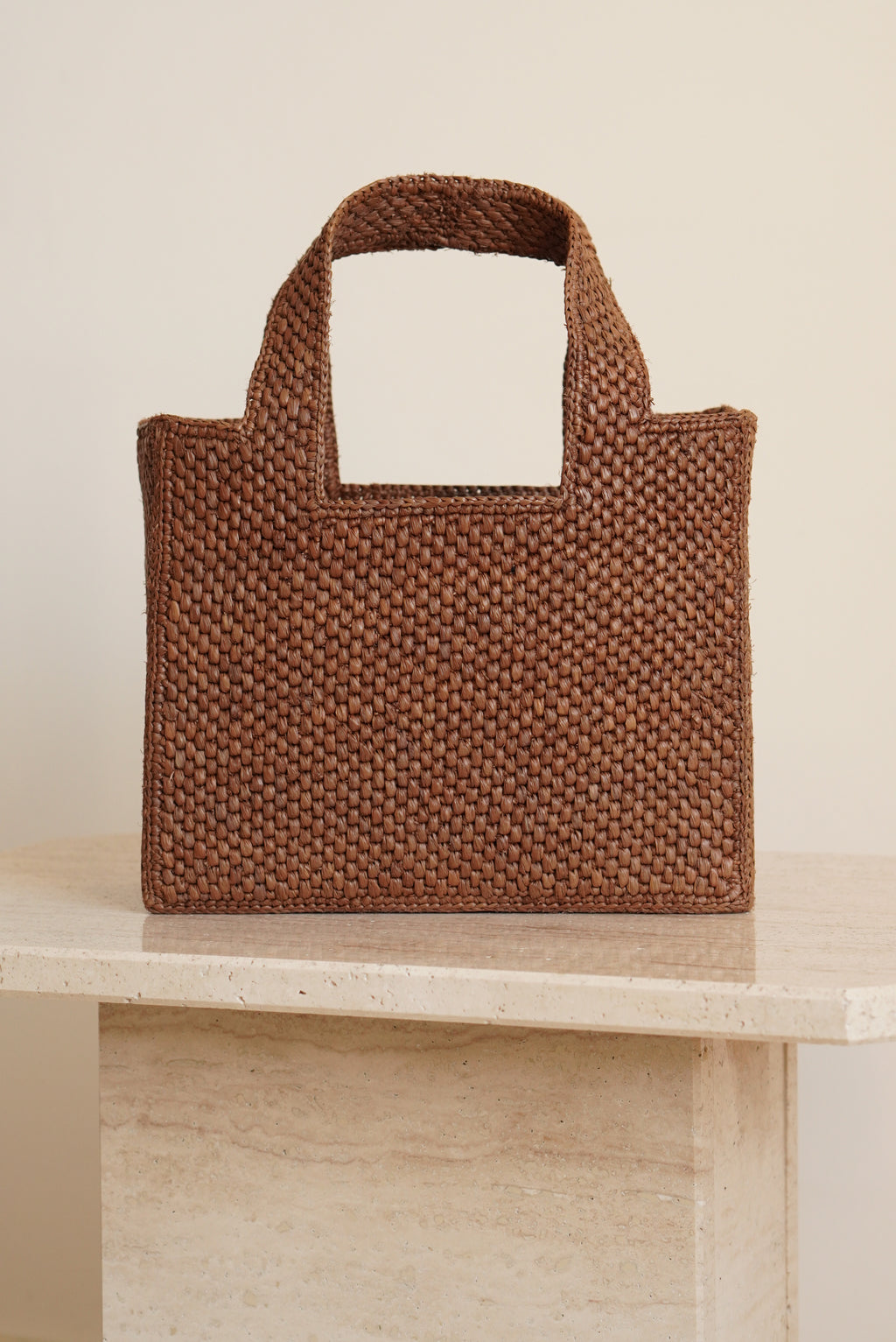 LOEWE x SUNA FUJITA LEMUR FONT TOTE SMALL | BROWN
