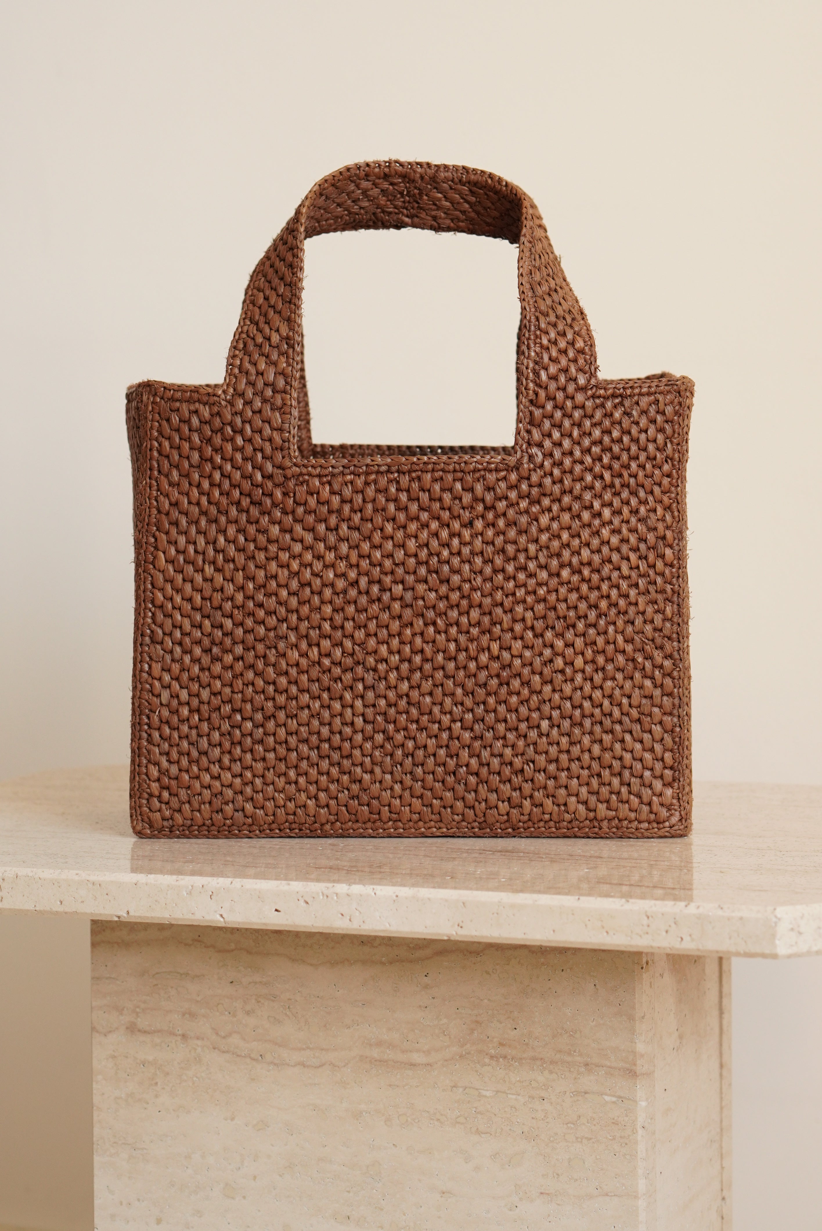LOEWE x SUNA FUJITA LEMUR FONT TOTE SMALL | BROWN