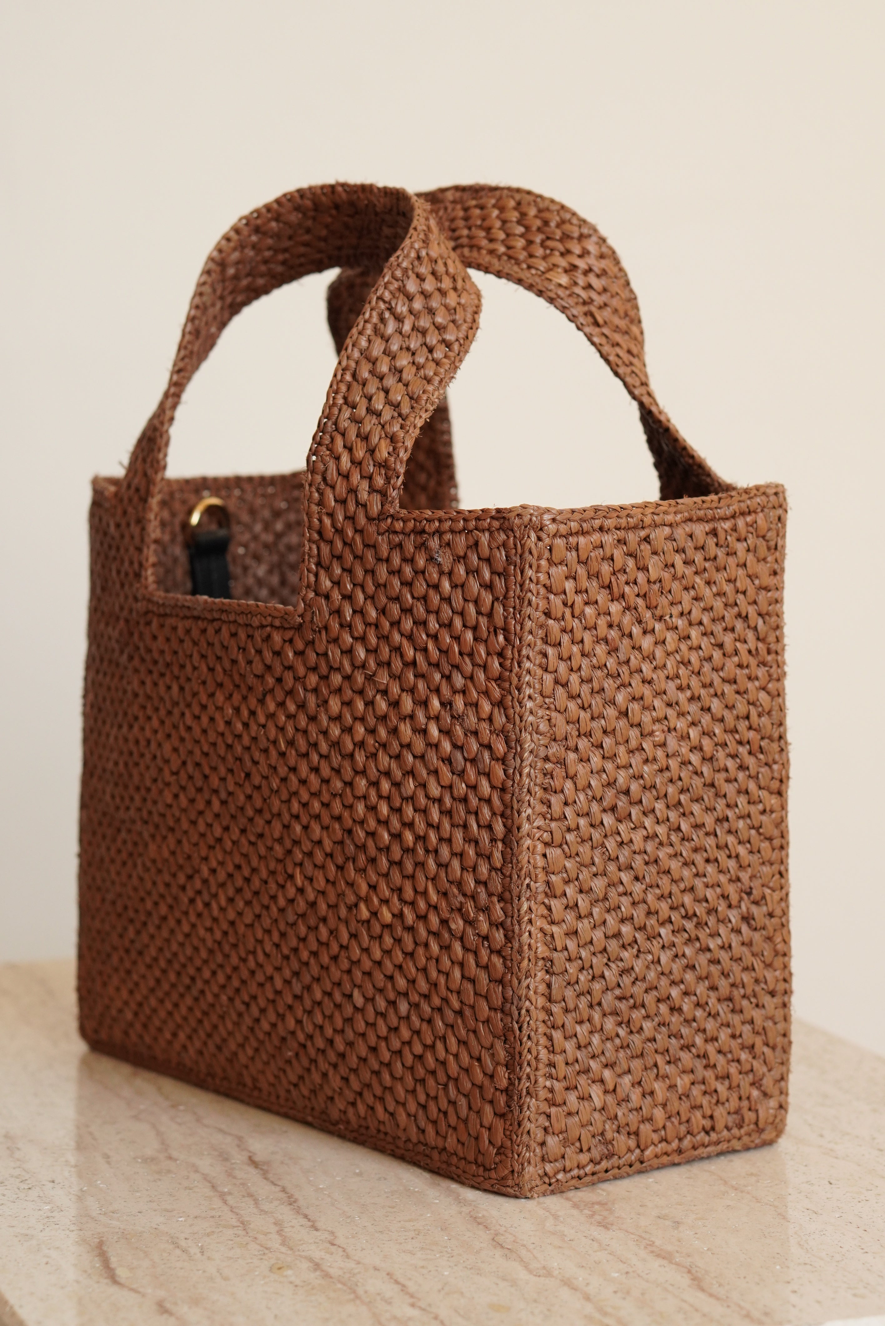 LOEWE x SUNA FUJITA LEMUR FONT TOTE SMALL | BROWN