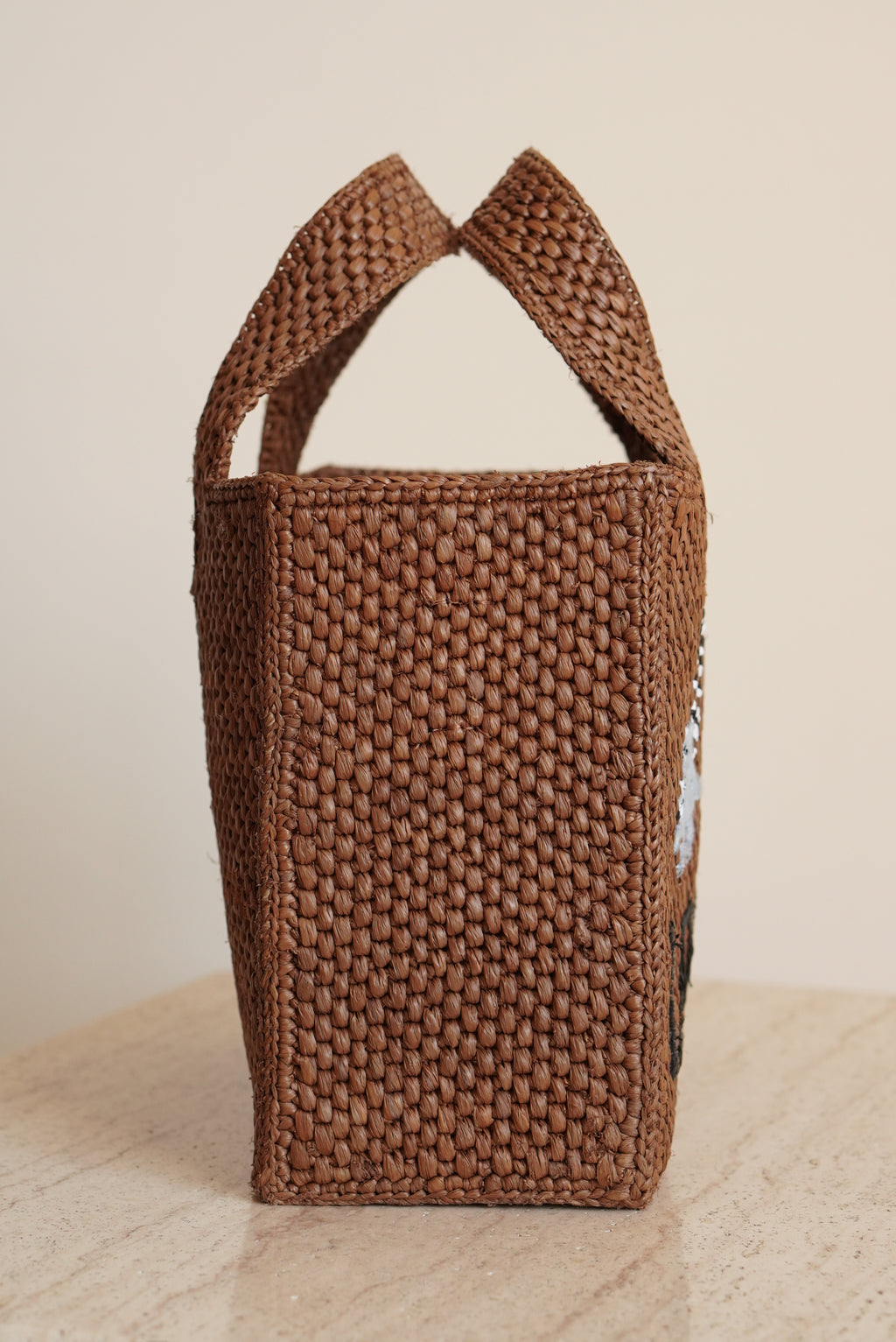 LOEWE x SUNA FUJITA LEMUR FONT TOTE SMALL | BROWN