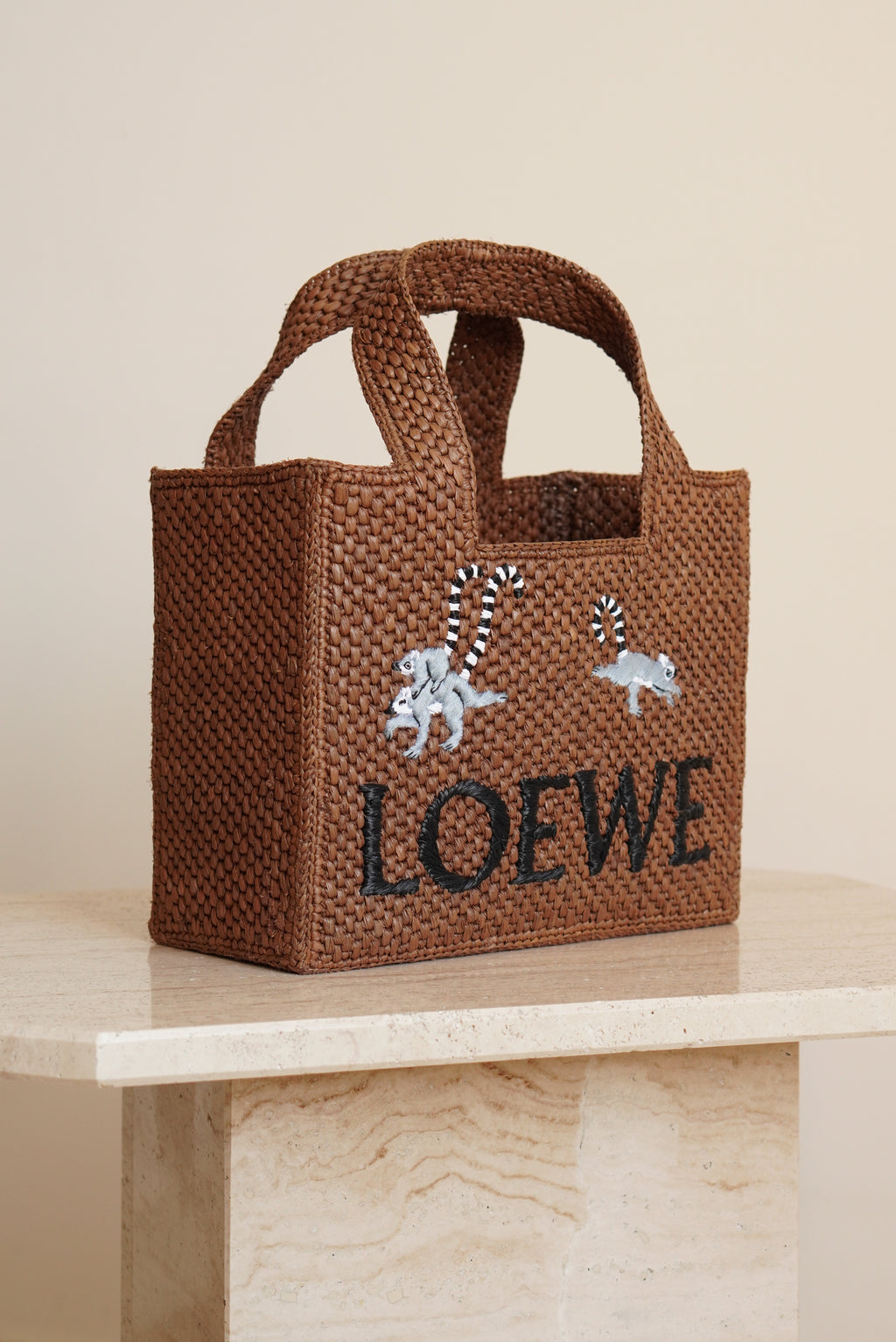 LOEWE x SUNA FUJITA LEMUR FONT TOTE SMALL | BROWN