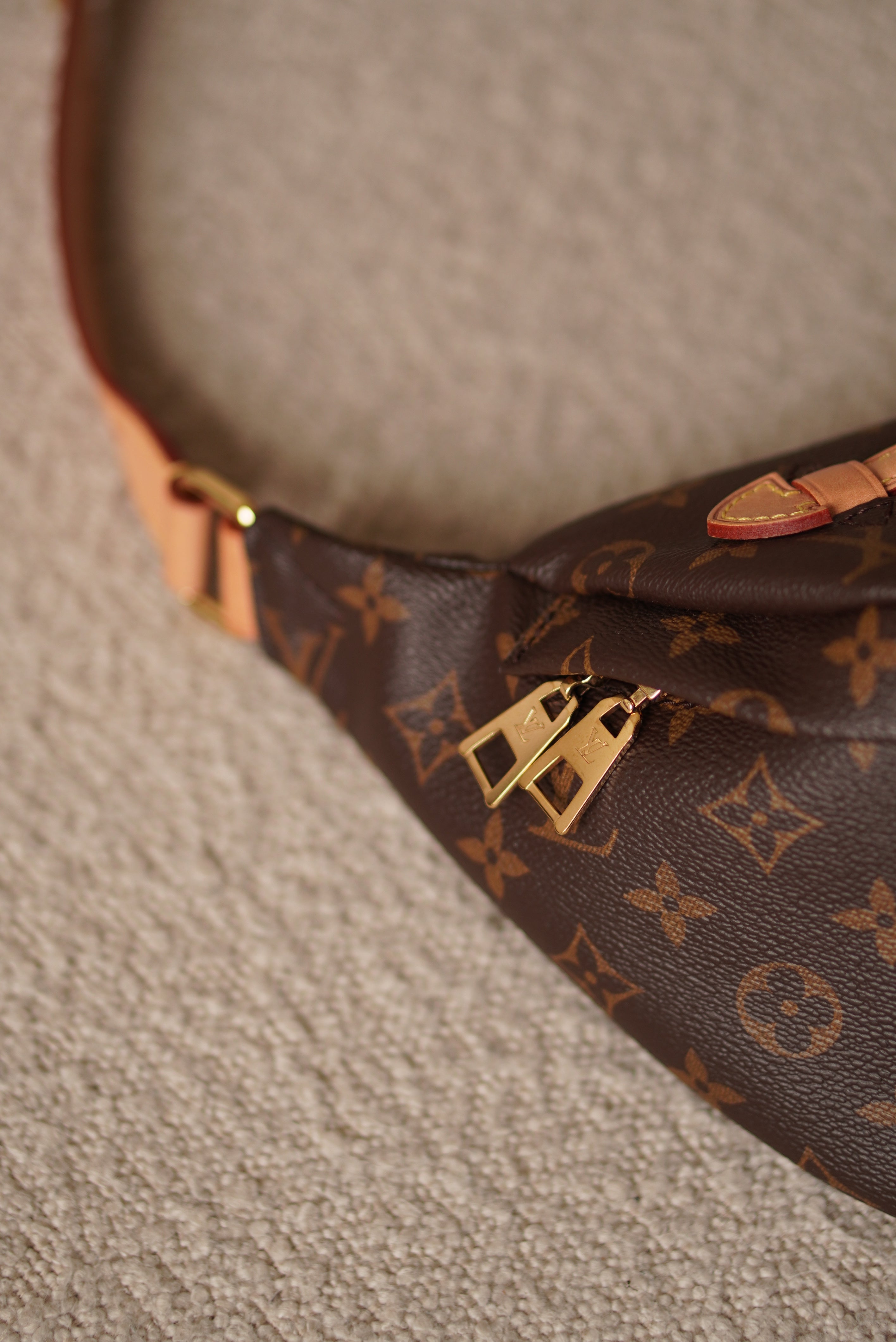 LOUIS VUITTON BUMBAG