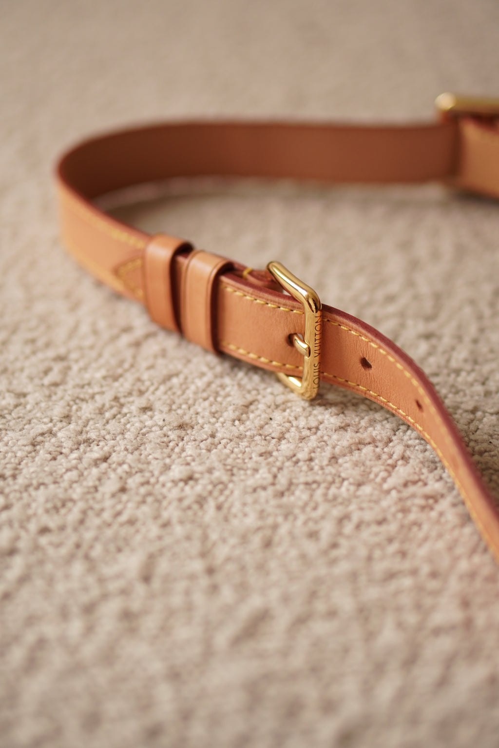 LOUIS VUITTON BUMBAG