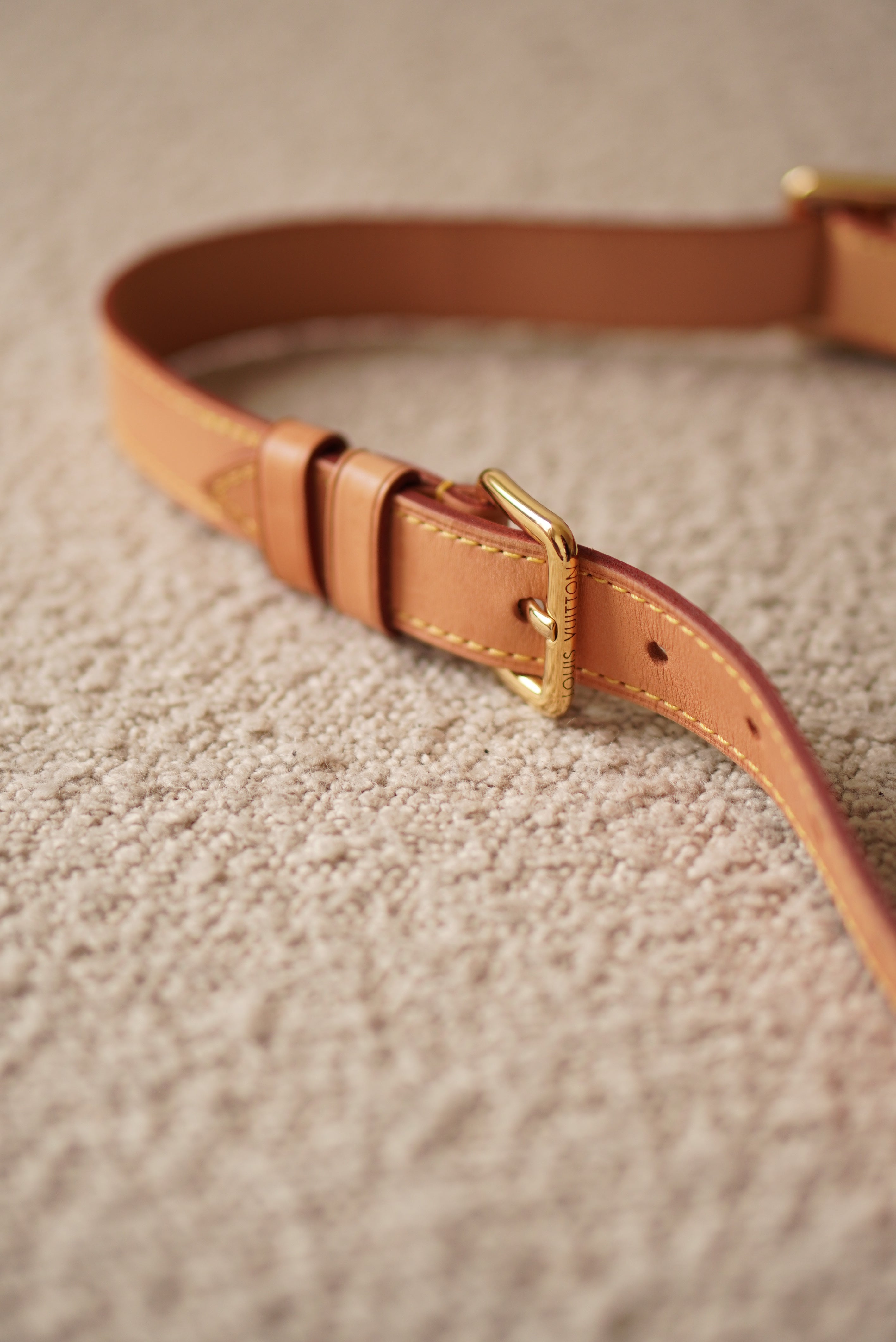 LOUIS VUITTON BUMBAG