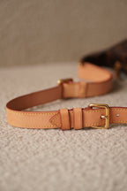 LOUIS VUITTON BUMBAG