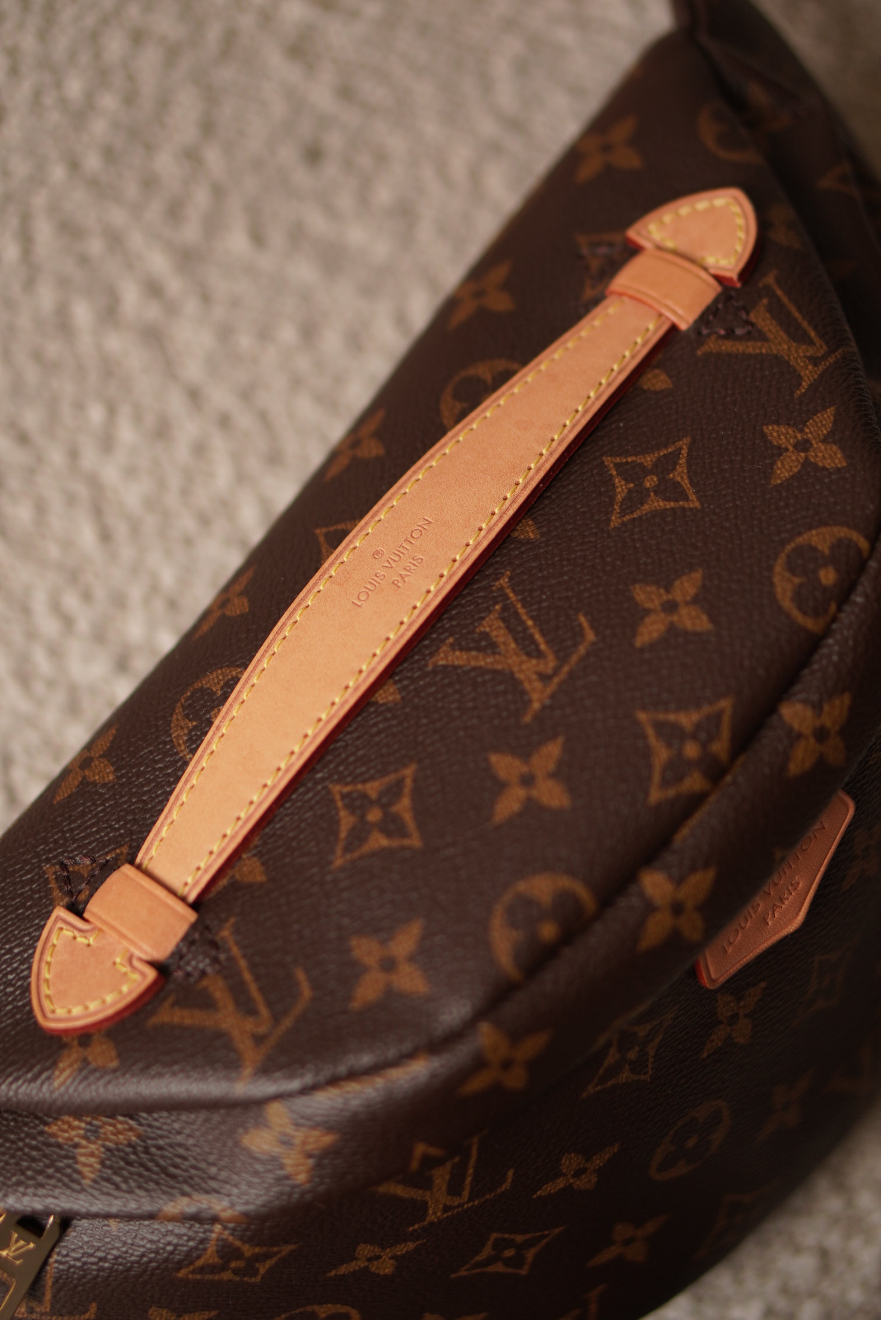 LOUIS VUITTON BUMBAG