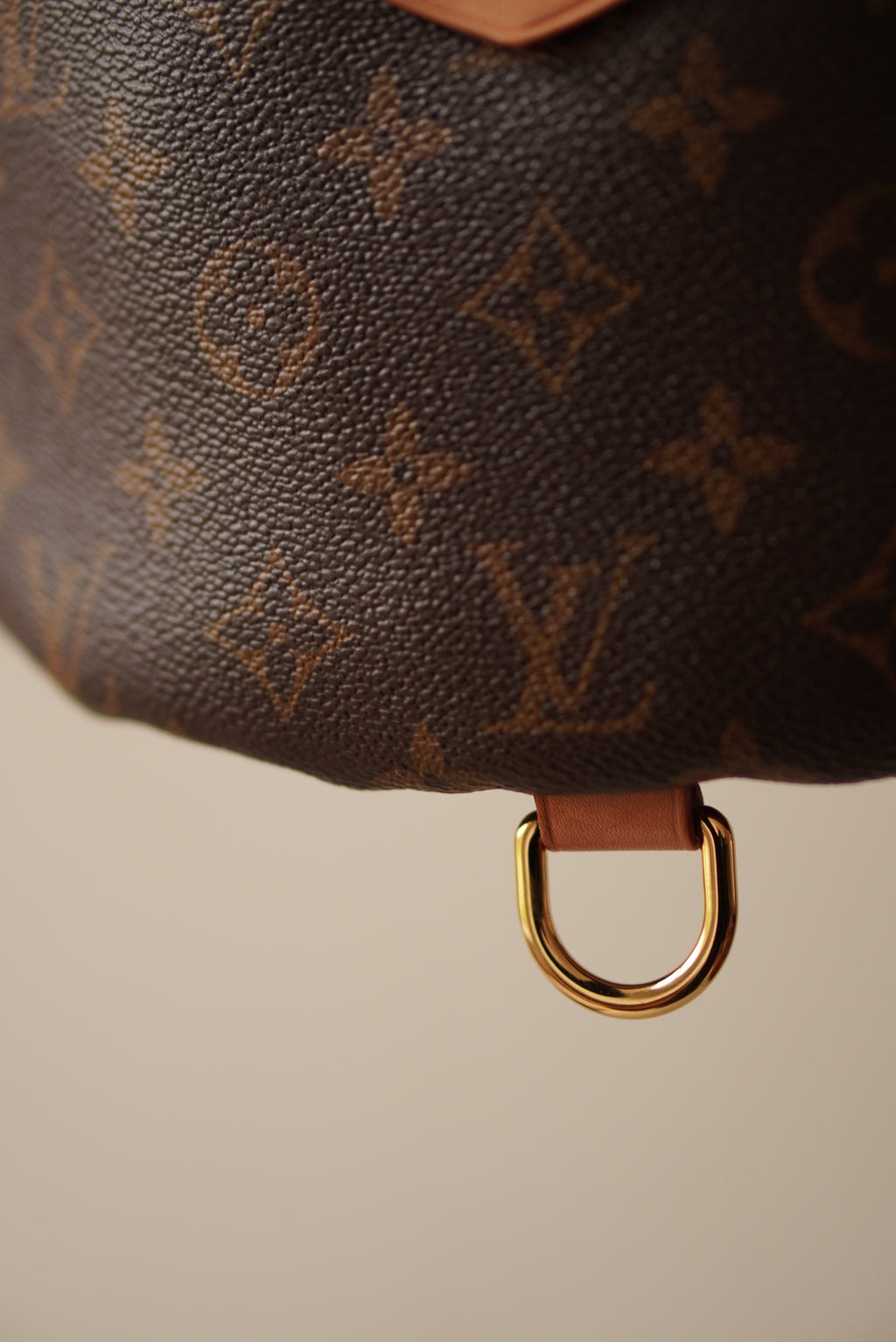 LOUIS VUITTON BUMBAG