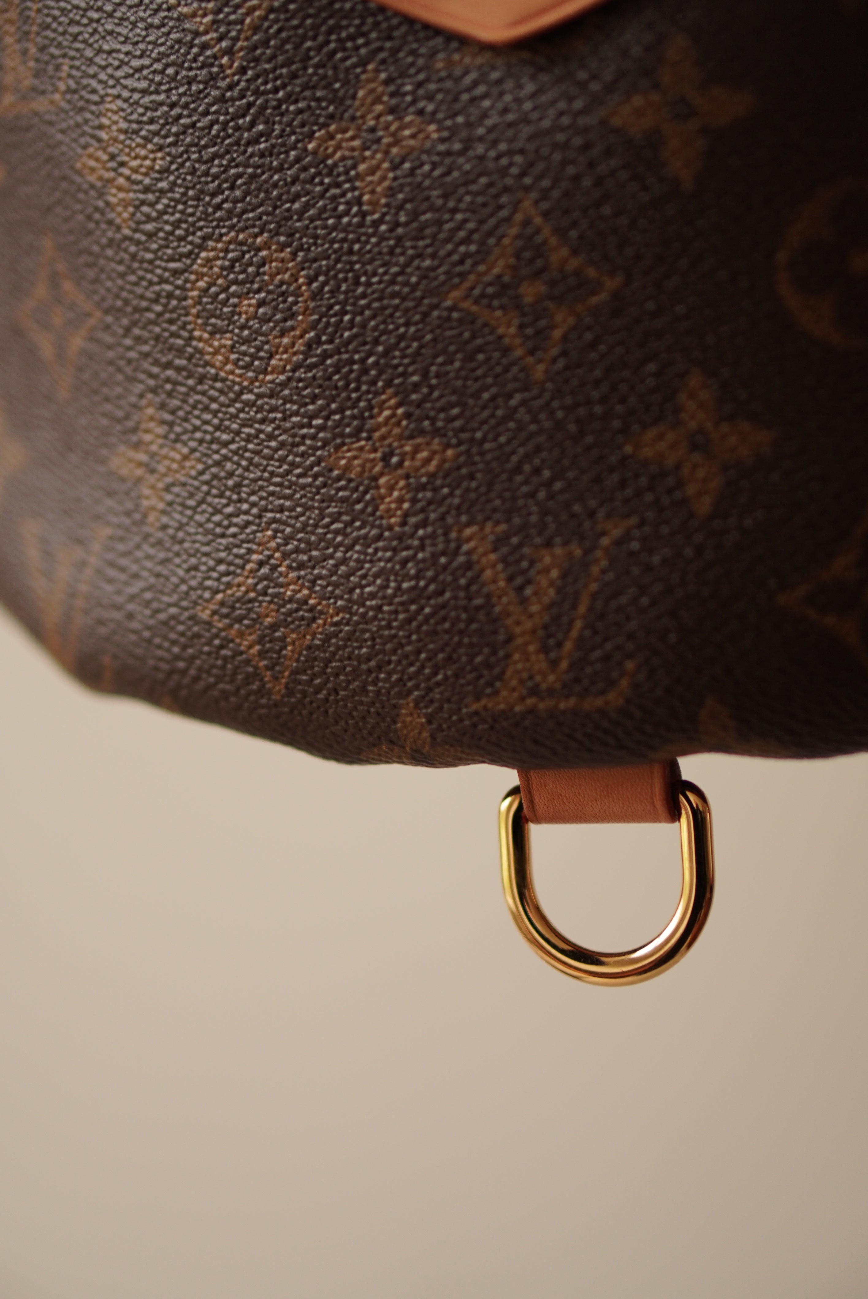 LOUIS VUITTON BUMBAG