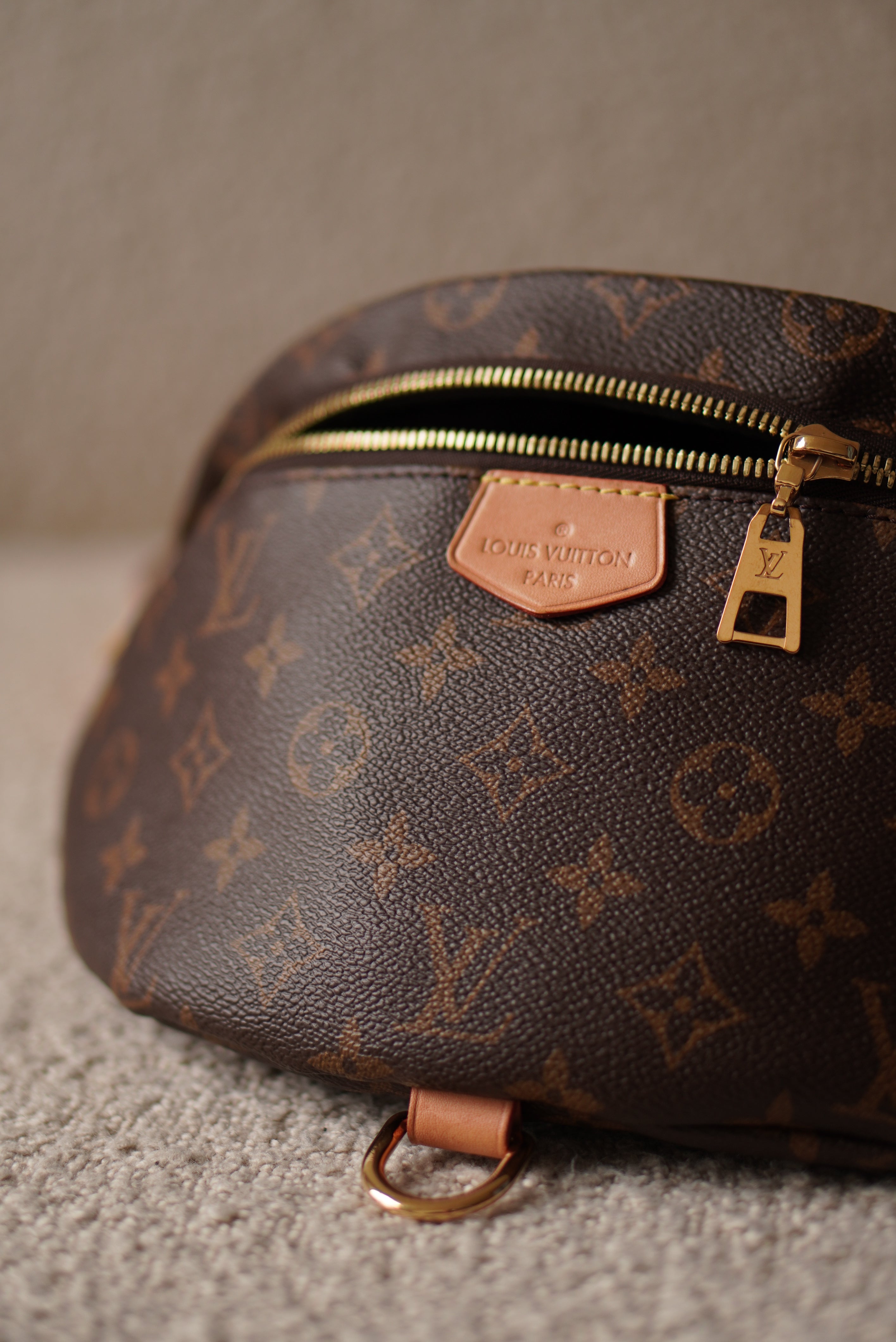 LOUIS VUITTON BUMBAG