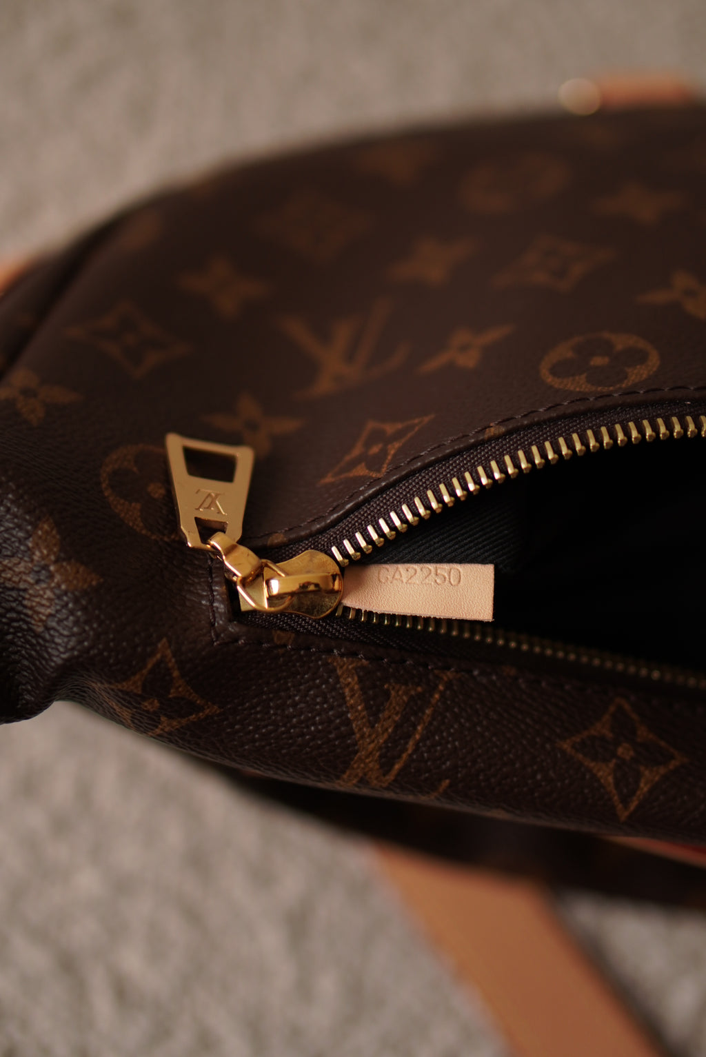 LOUIS VUITTON BUMBAG
