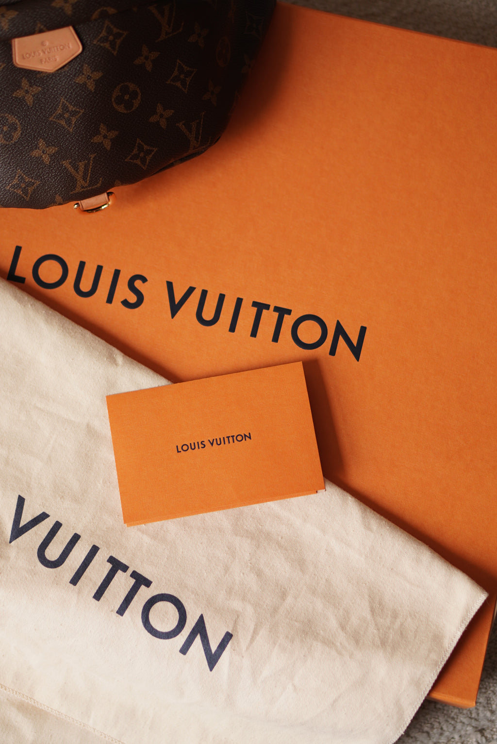 LOUIS VUITTON BUMBAG
