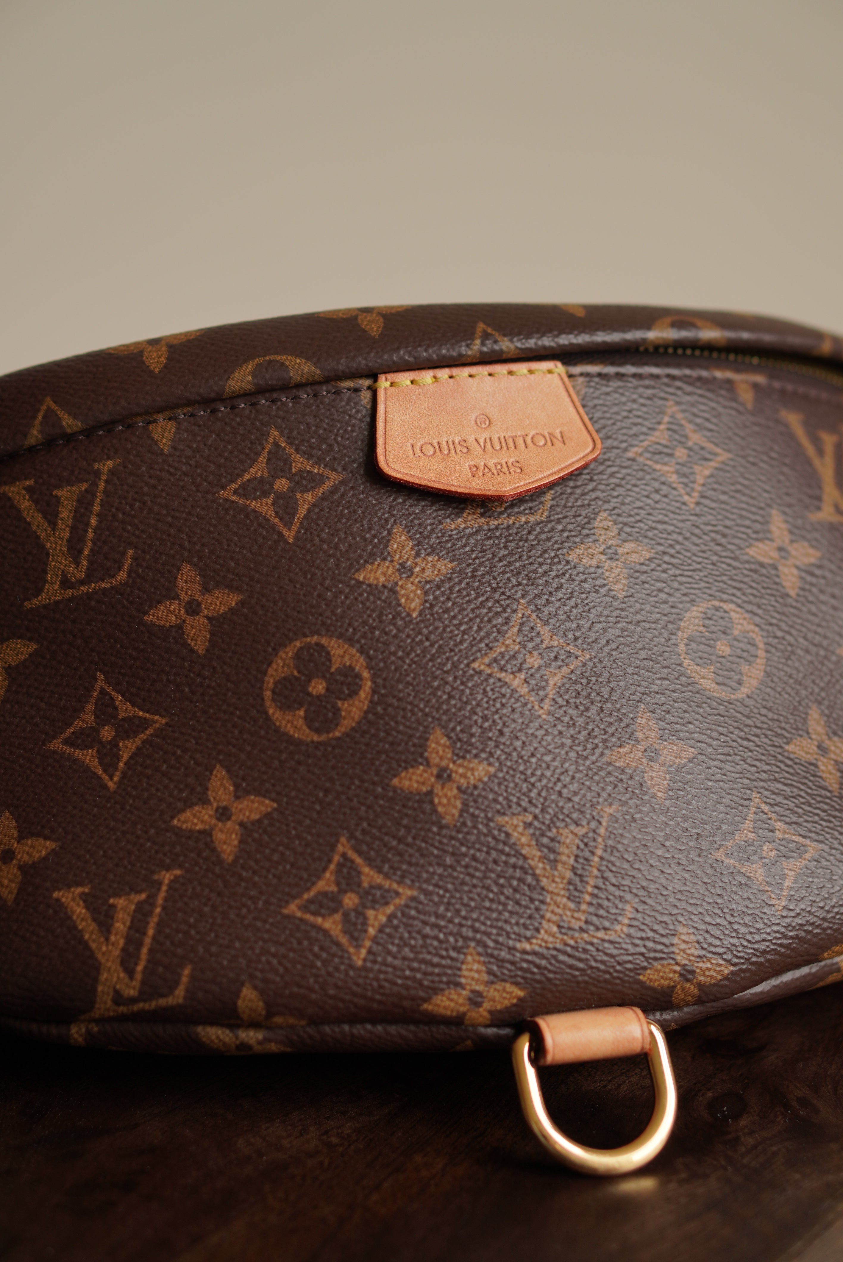 LOUIS VUITTON BUMBAG